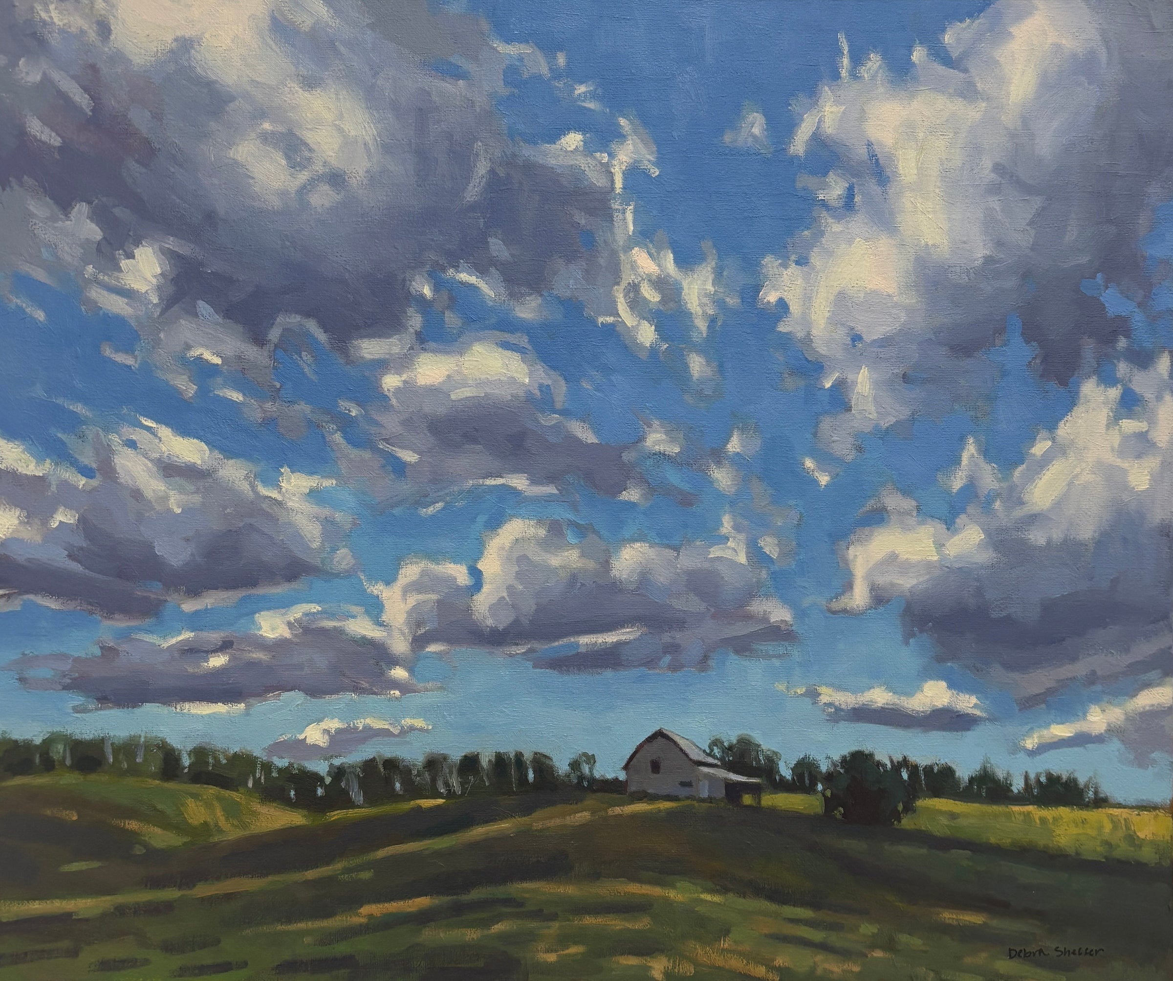Debra Sheffer