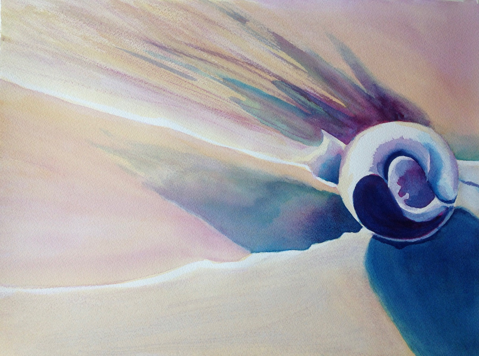 Snail Shell on Sand