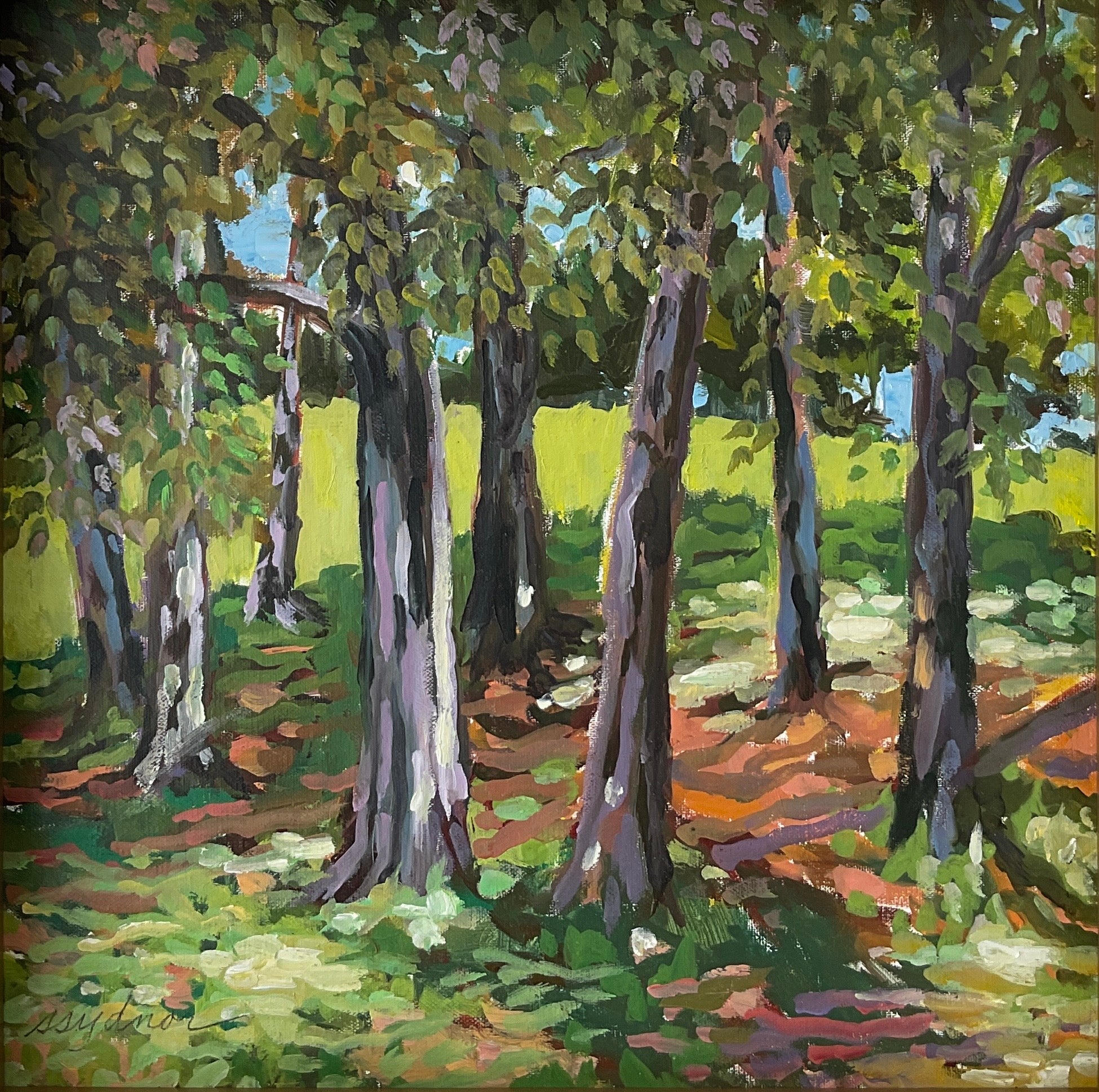 Trees in the Park