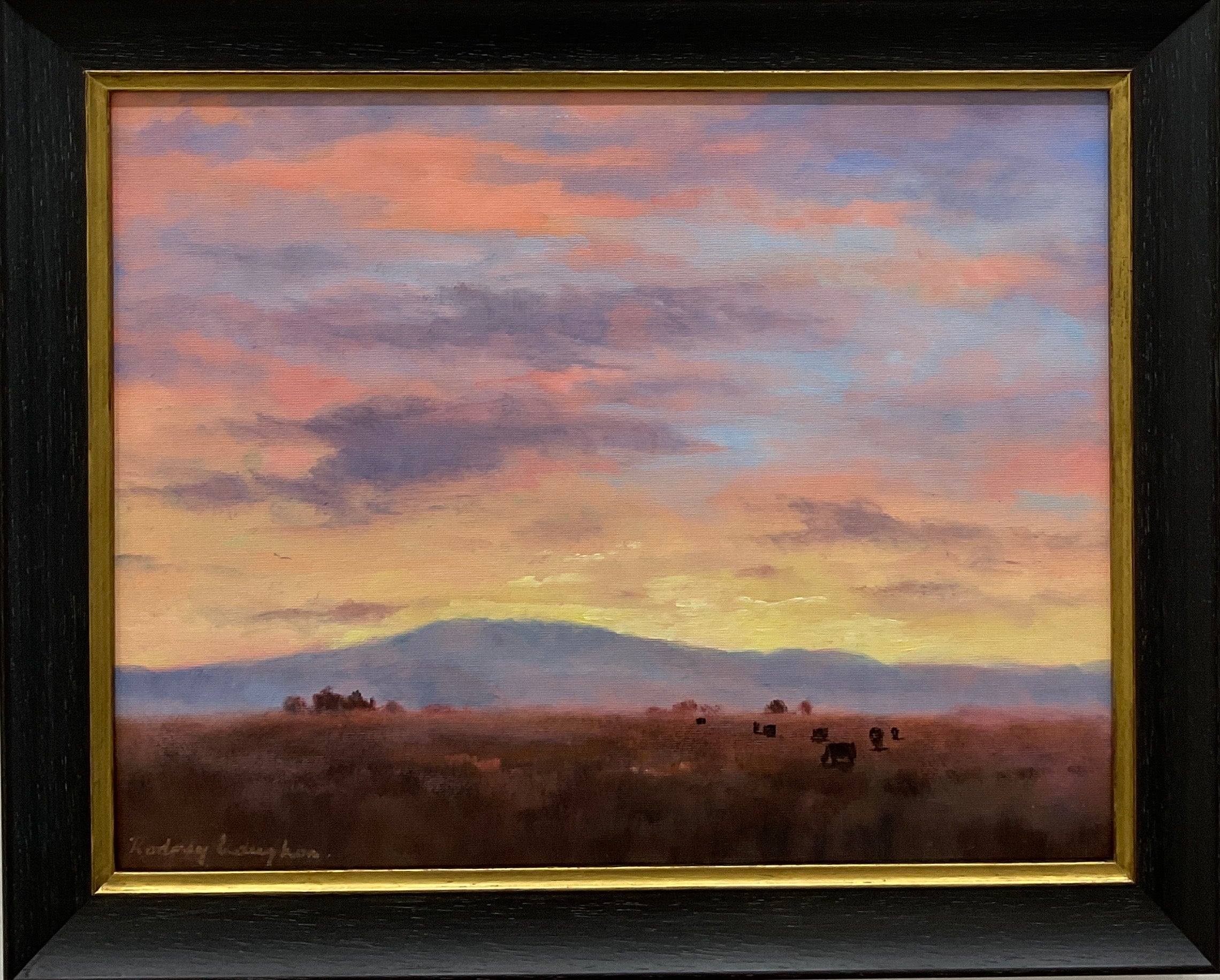 Twilight Grazing