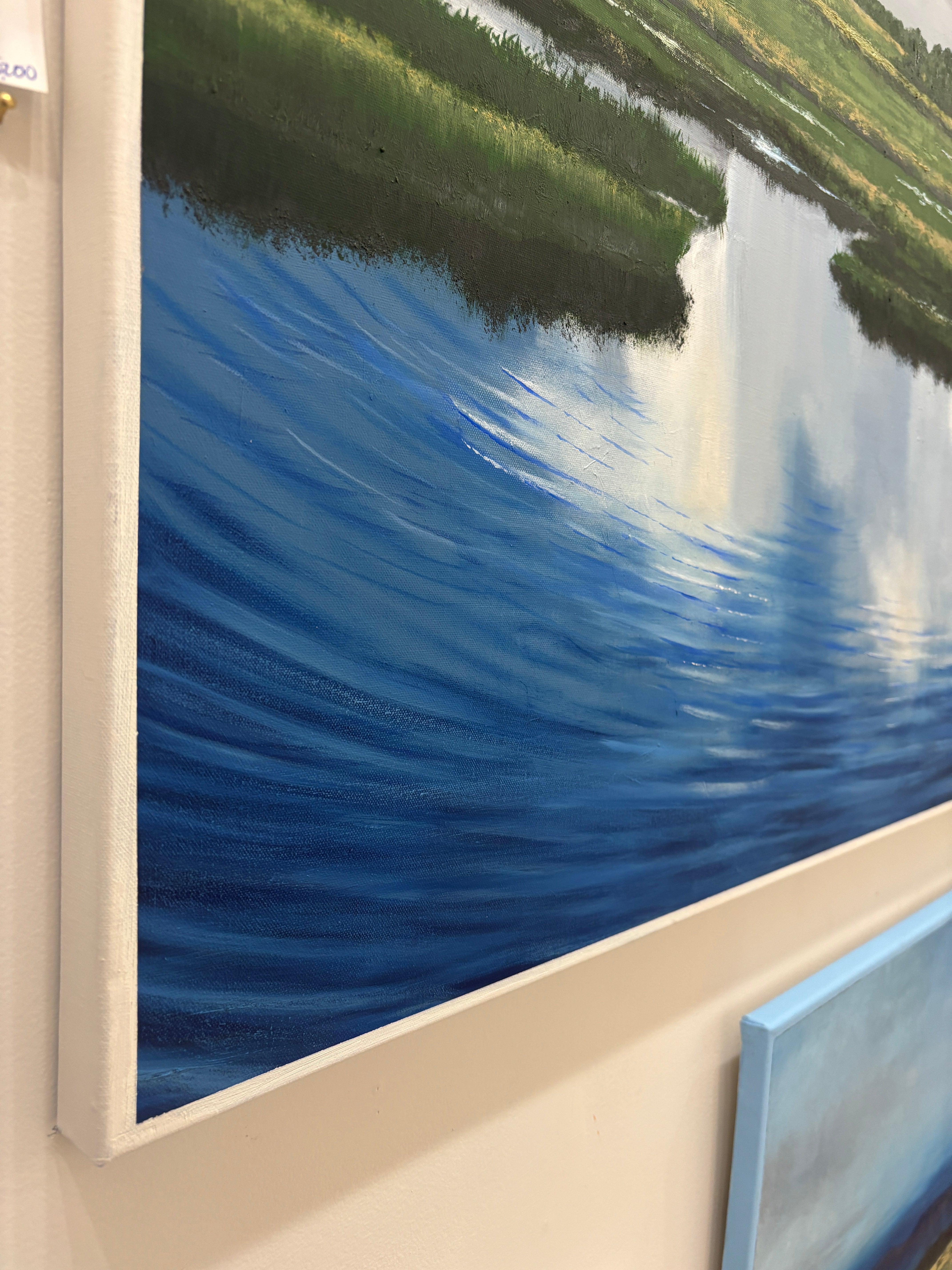 Wetland Reflections
