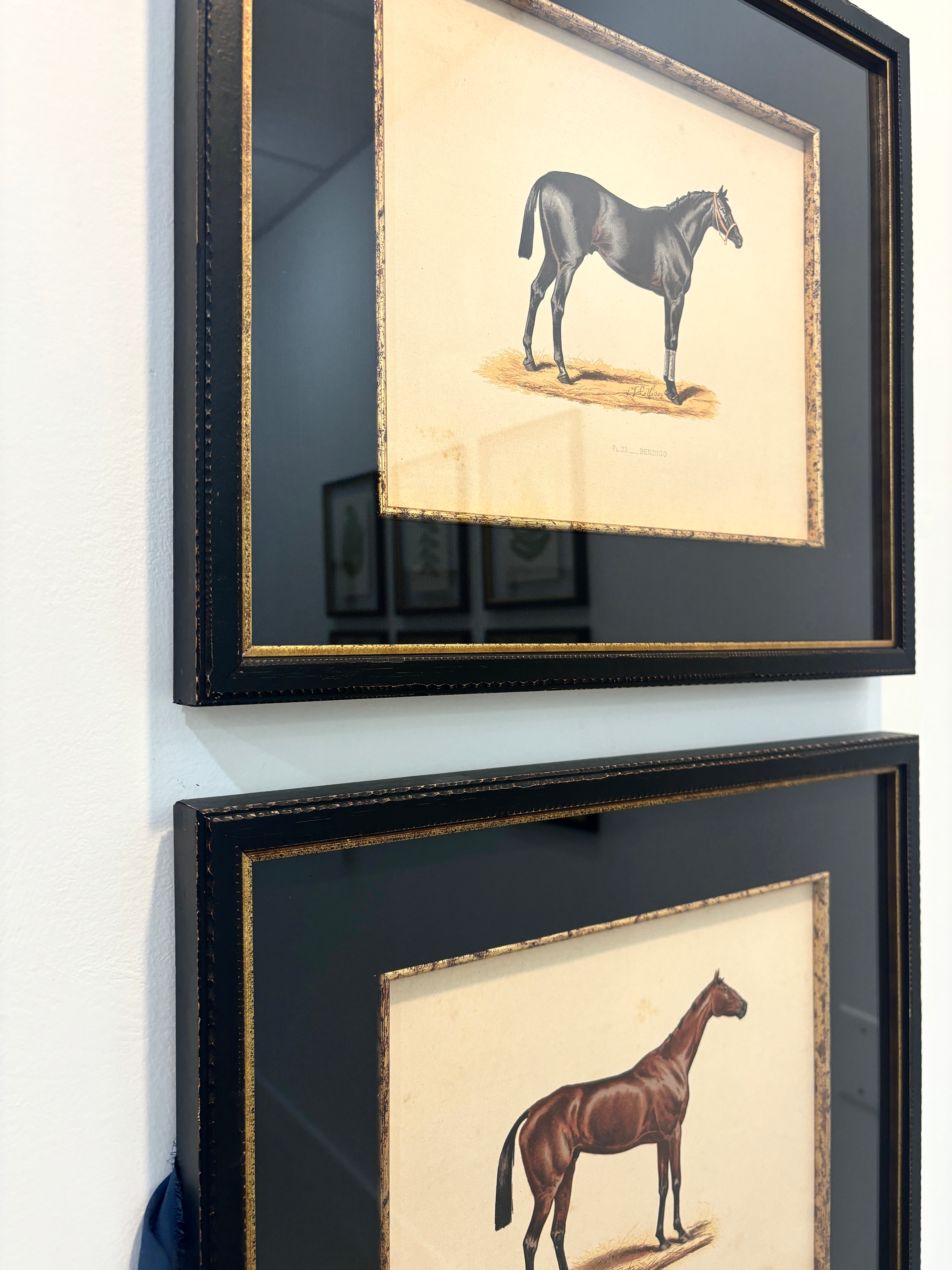 Antique, Fine Chromolithograph Black Stallion Portrait