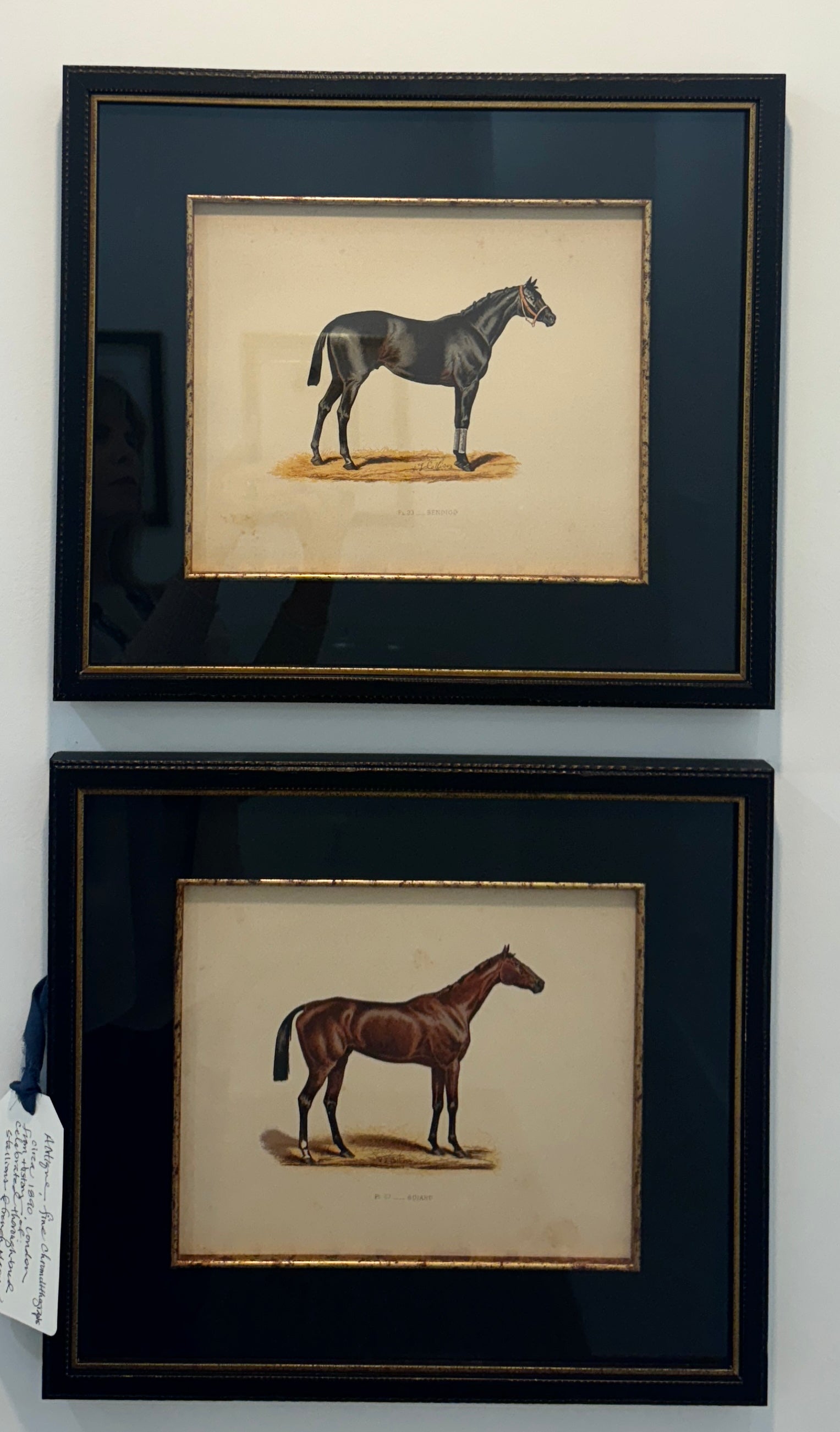 Antique, 1890's Chromolithograph Bay Stallion Portrait