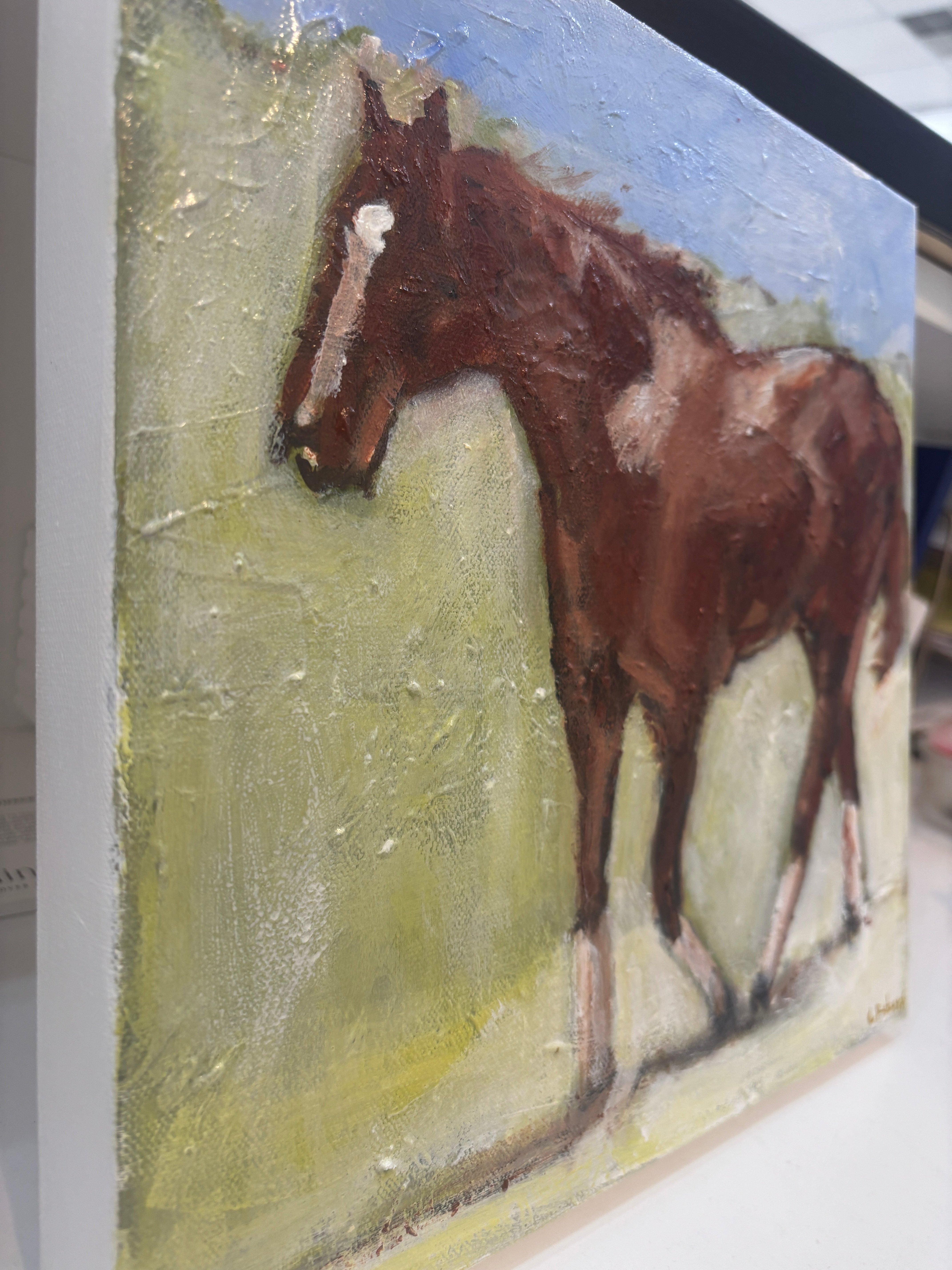 Chestnut Horse Study