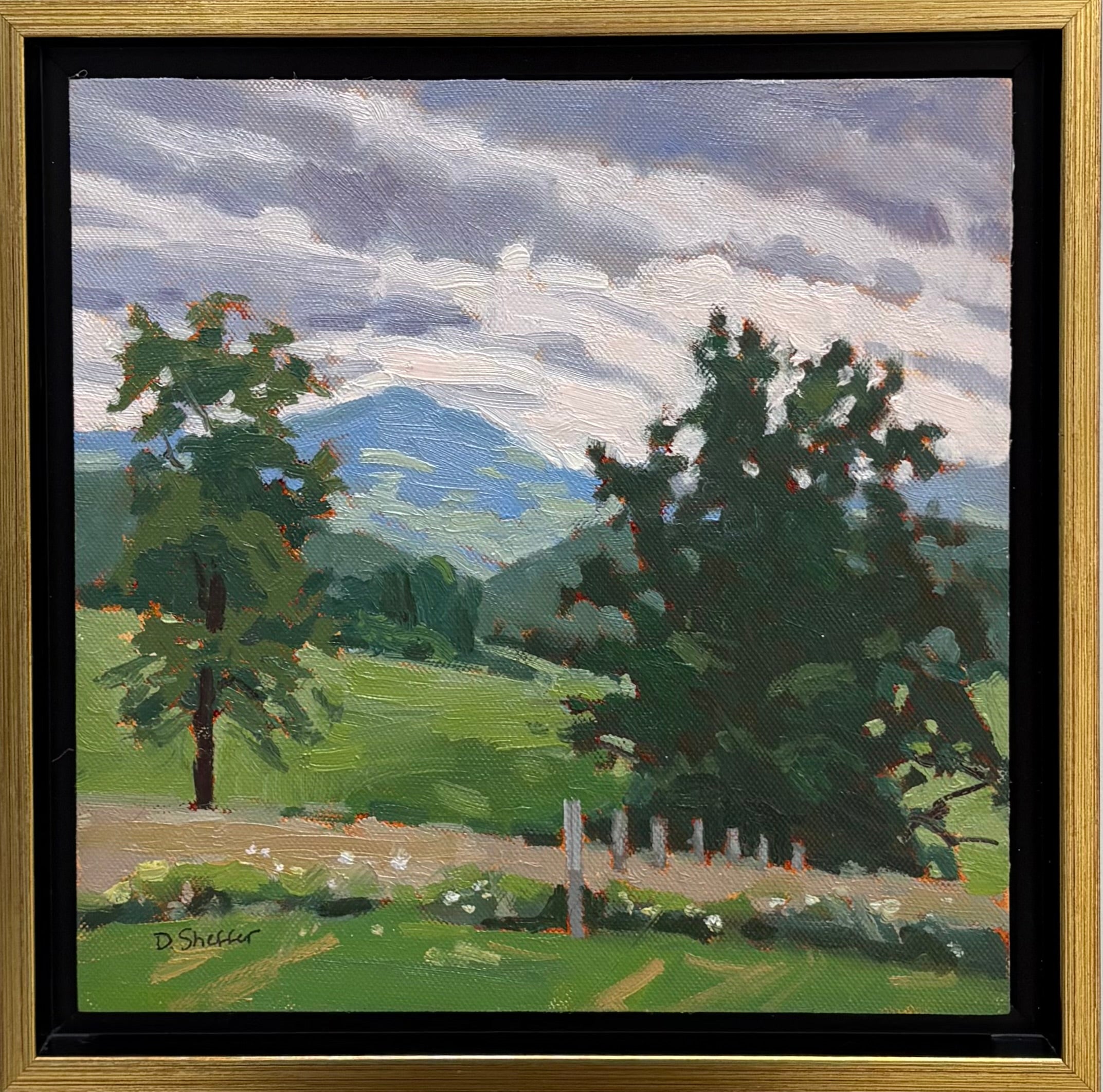 Blue Grass
