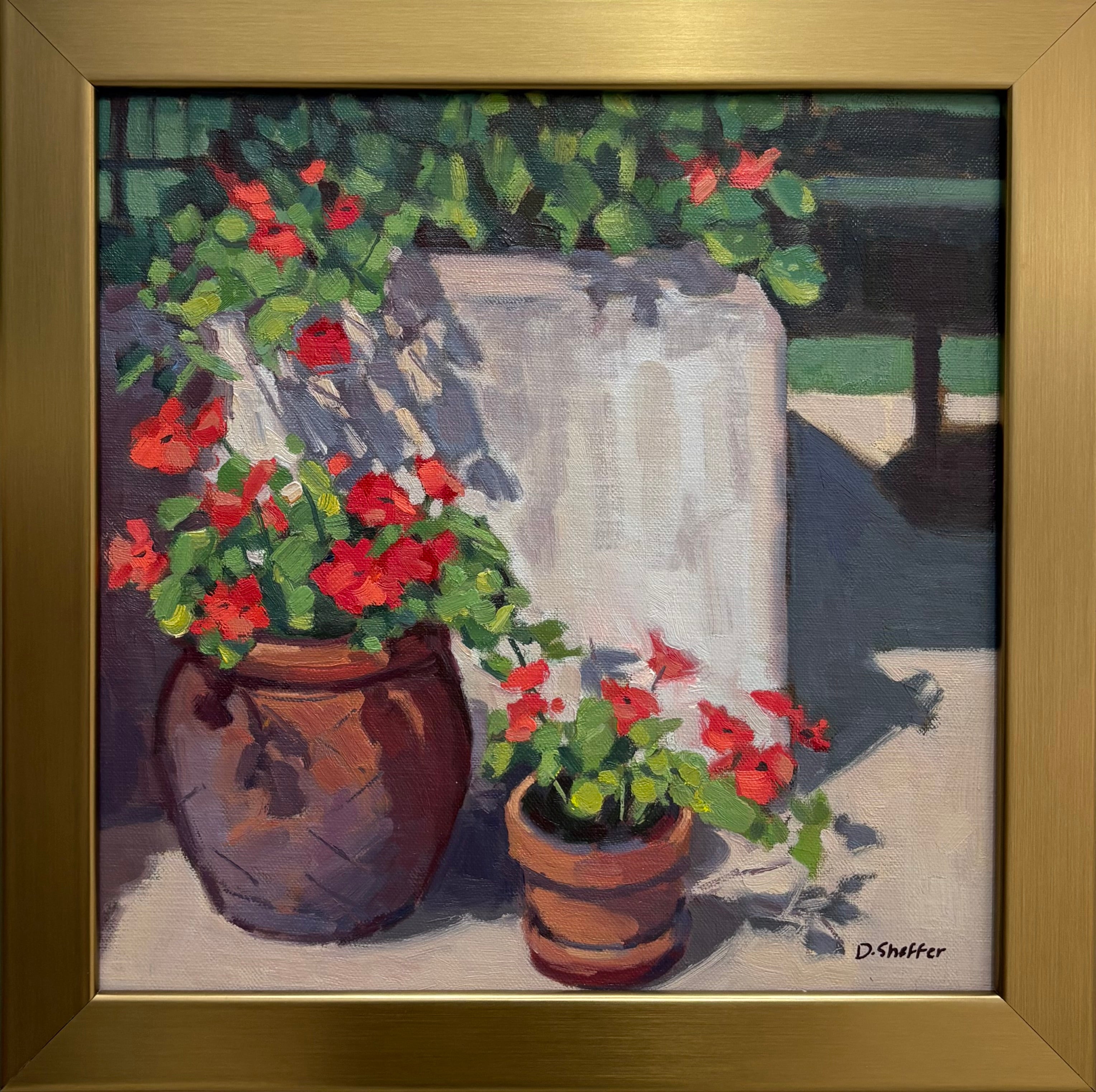 Flower Pots