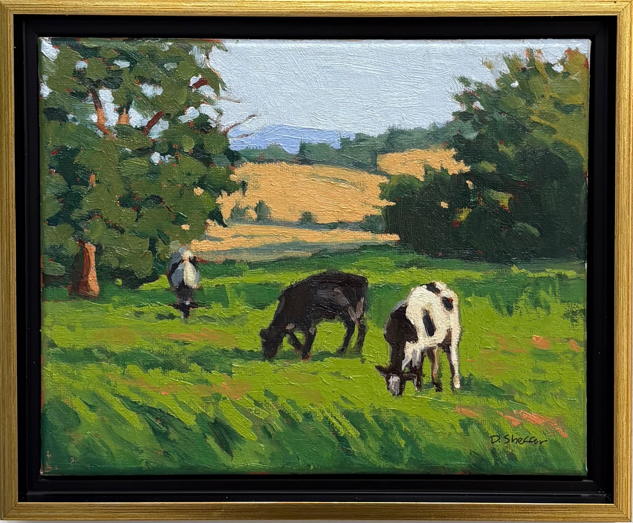 Grazing
