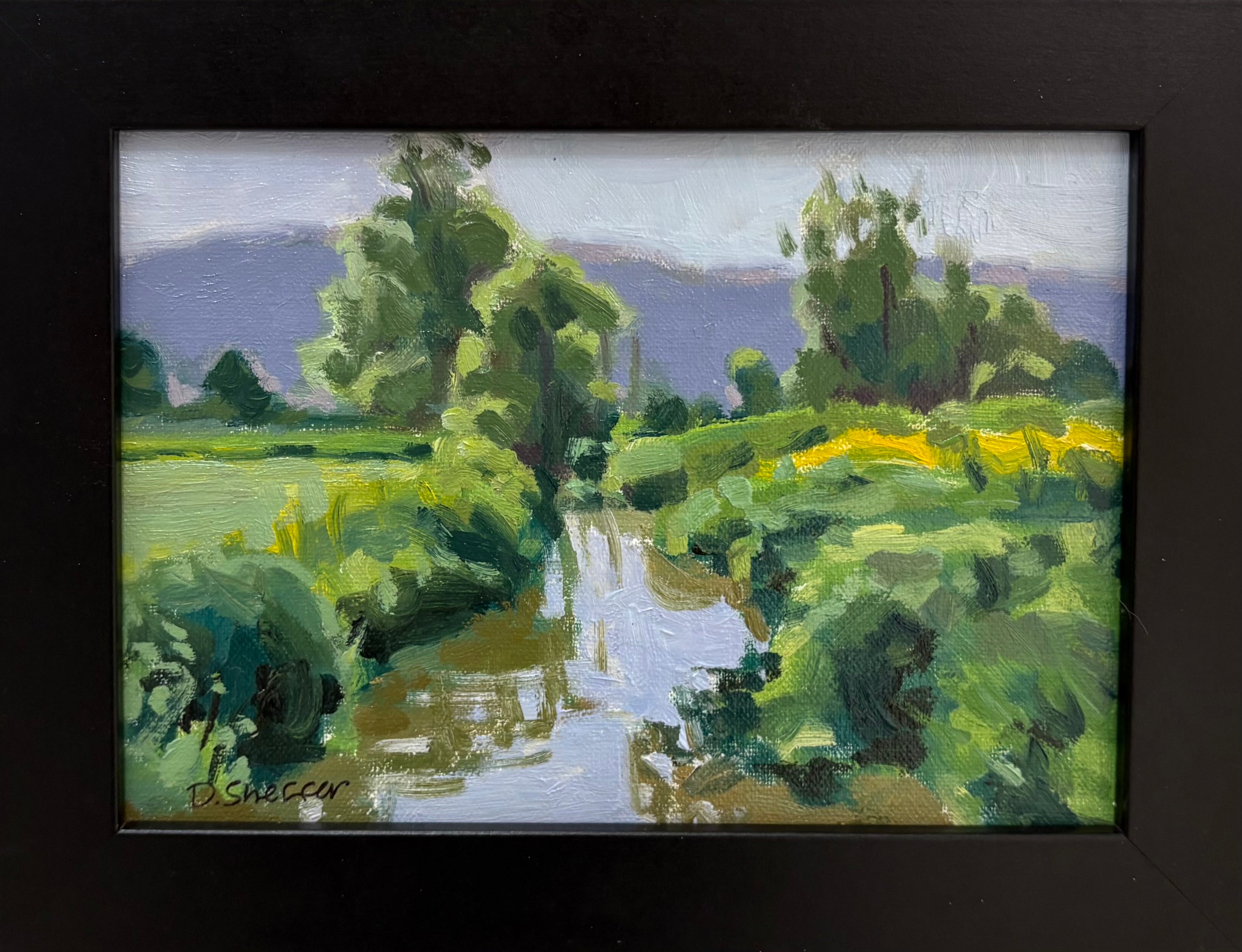 Little Creek