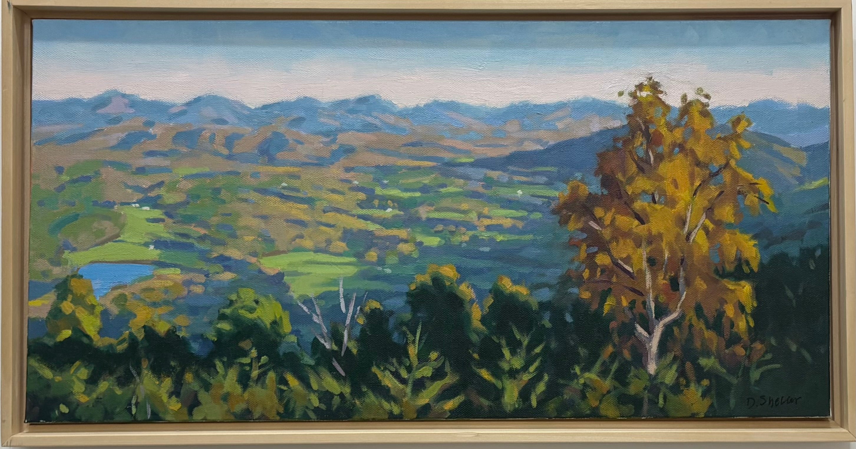 Rockfish Valley View