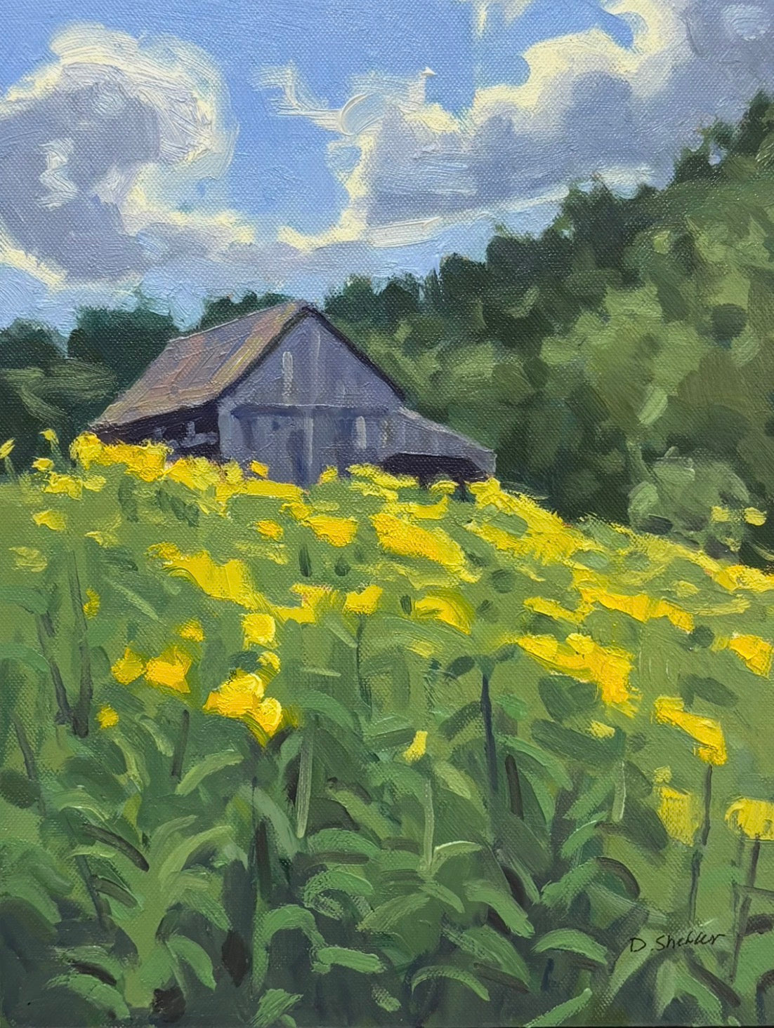 Barn in the Yellow Field