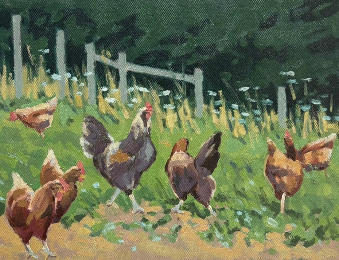 Rooster with Hens