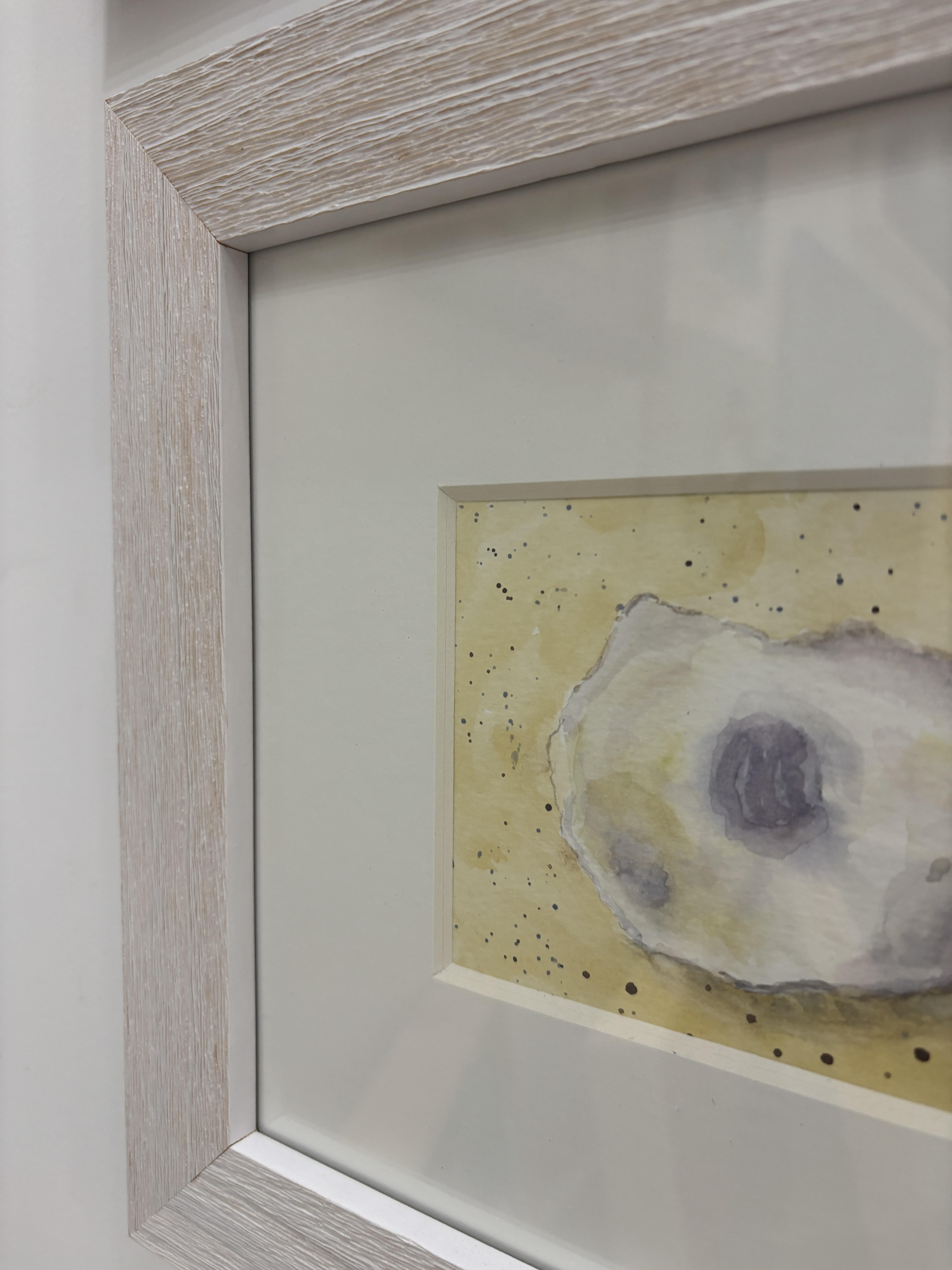 Oyster Shell