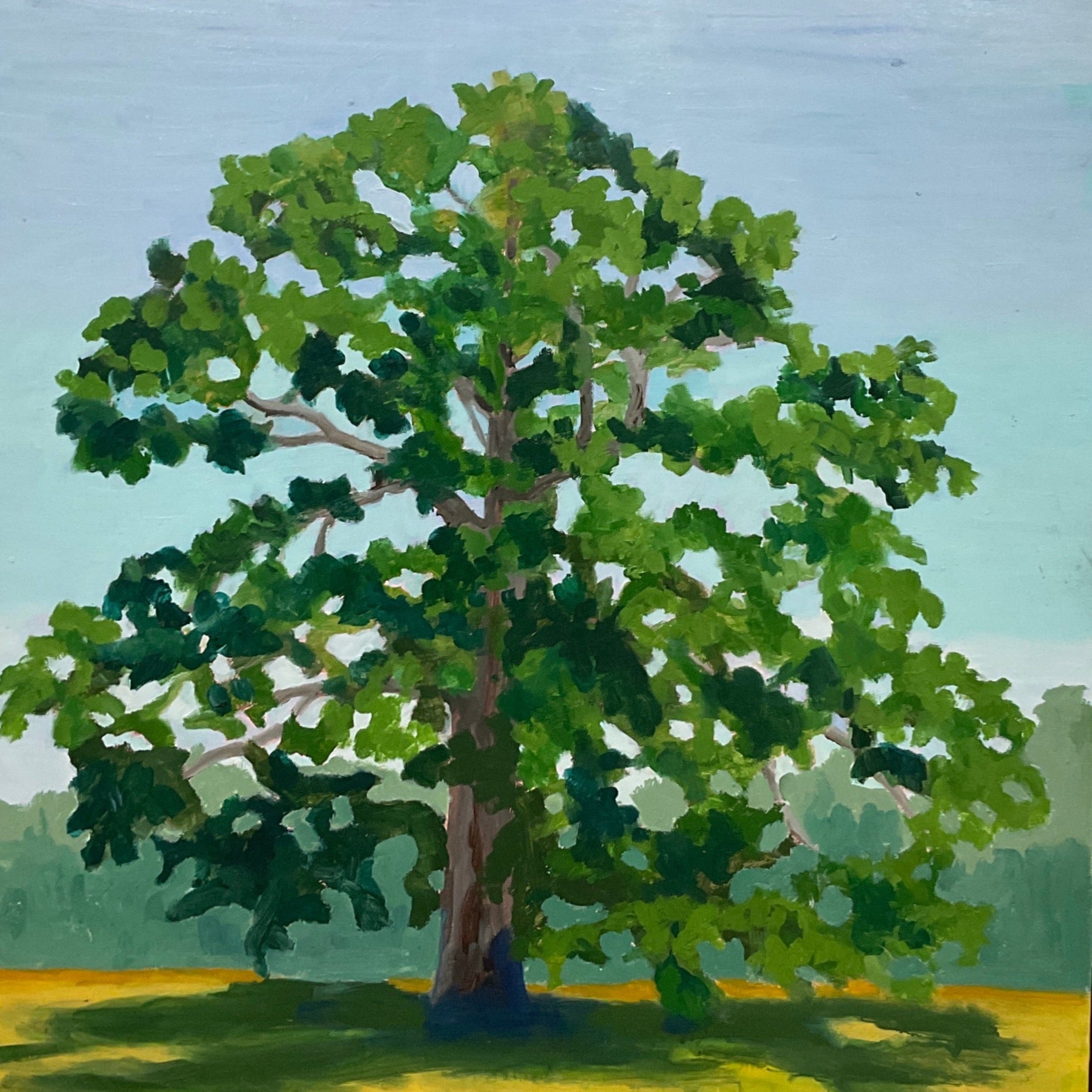 Oak in the Hayfield