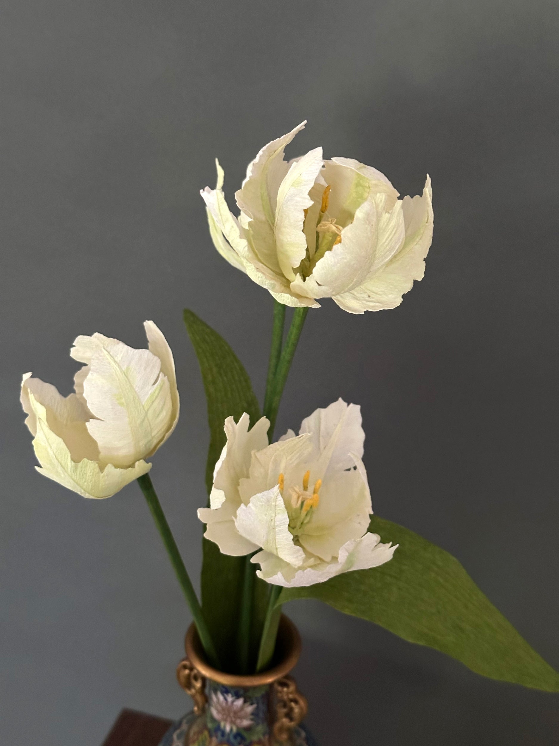 White Parrot Tulips