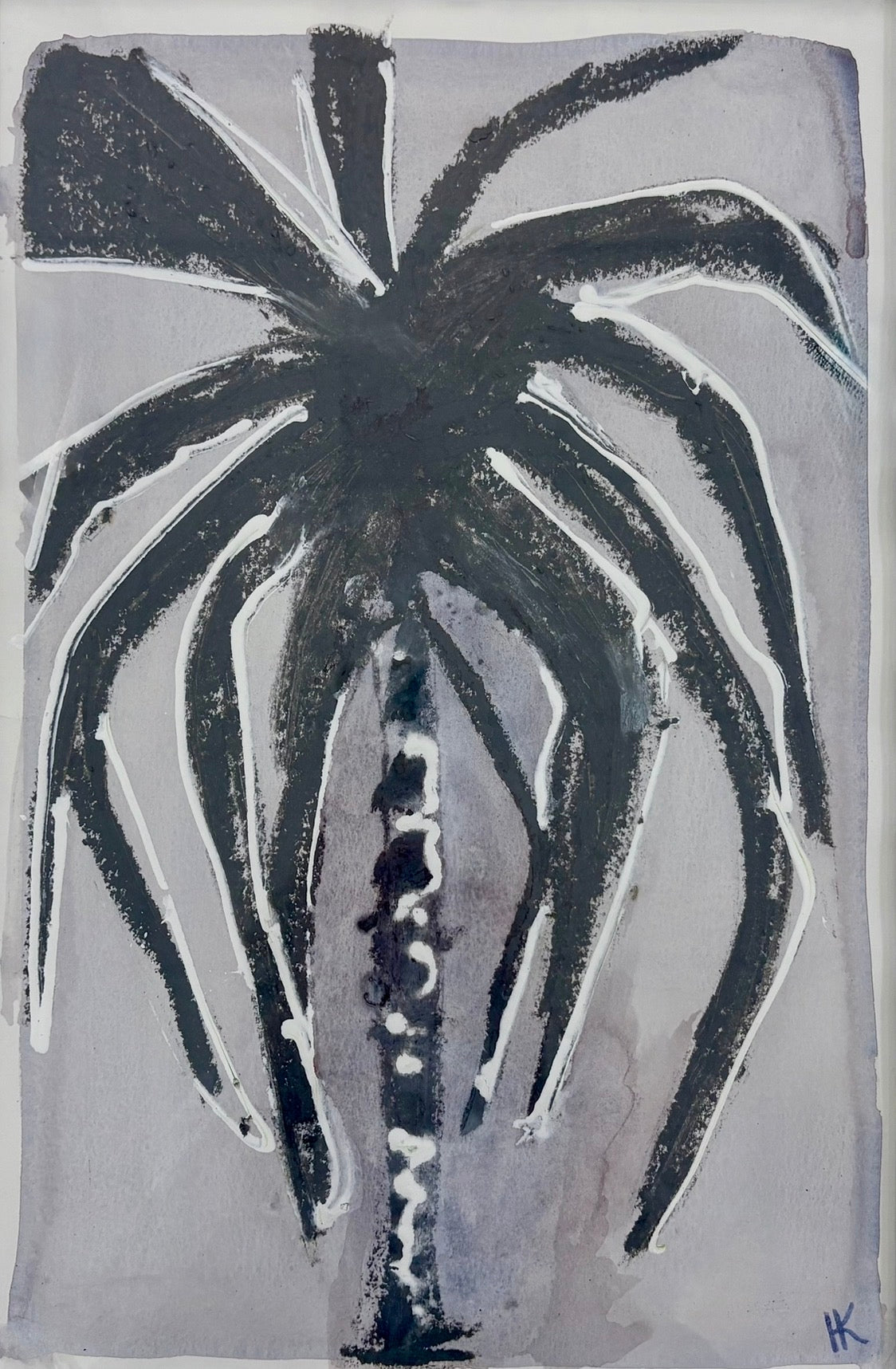 Palm Shadows