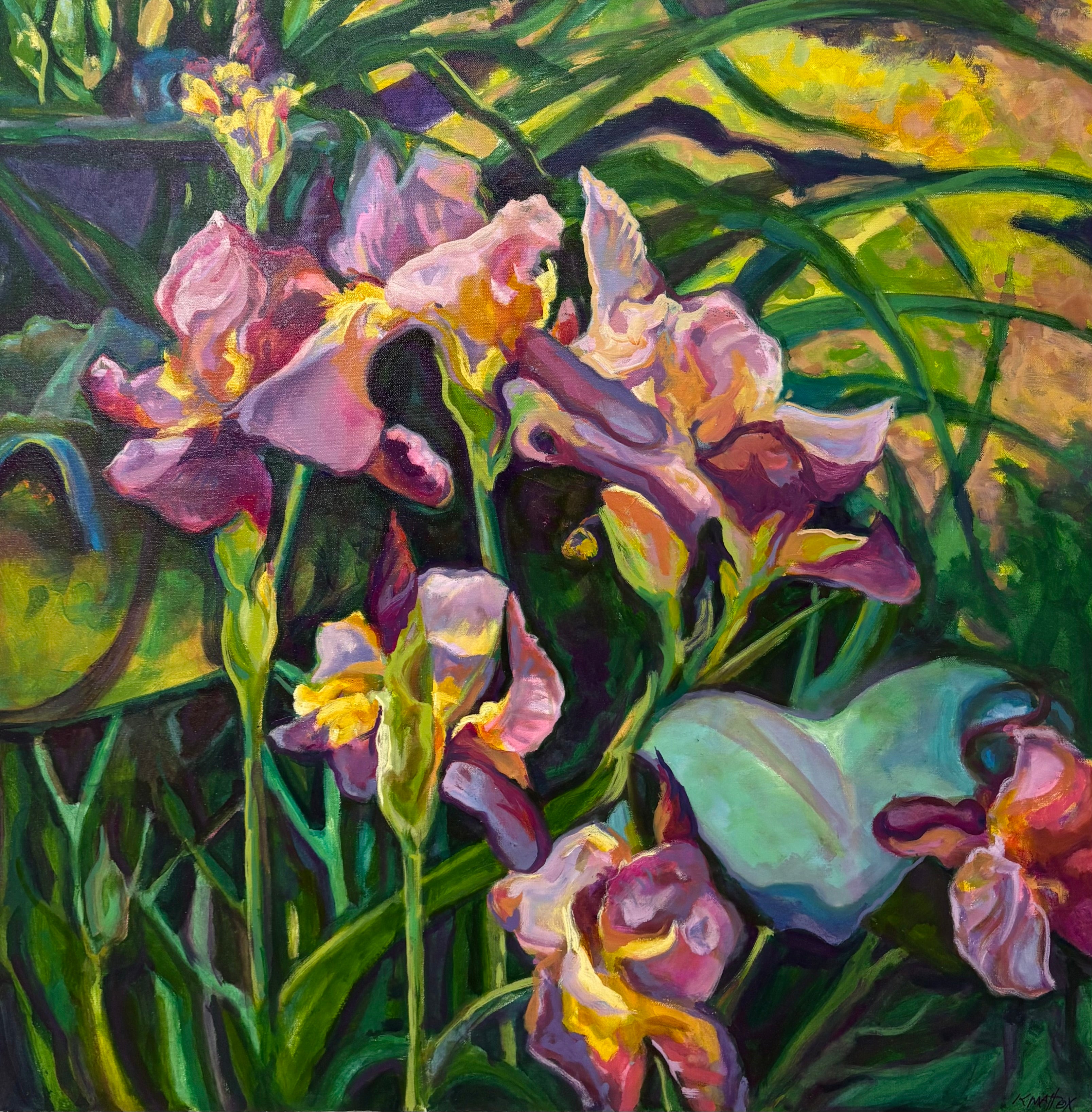 Quaker Lady Irises