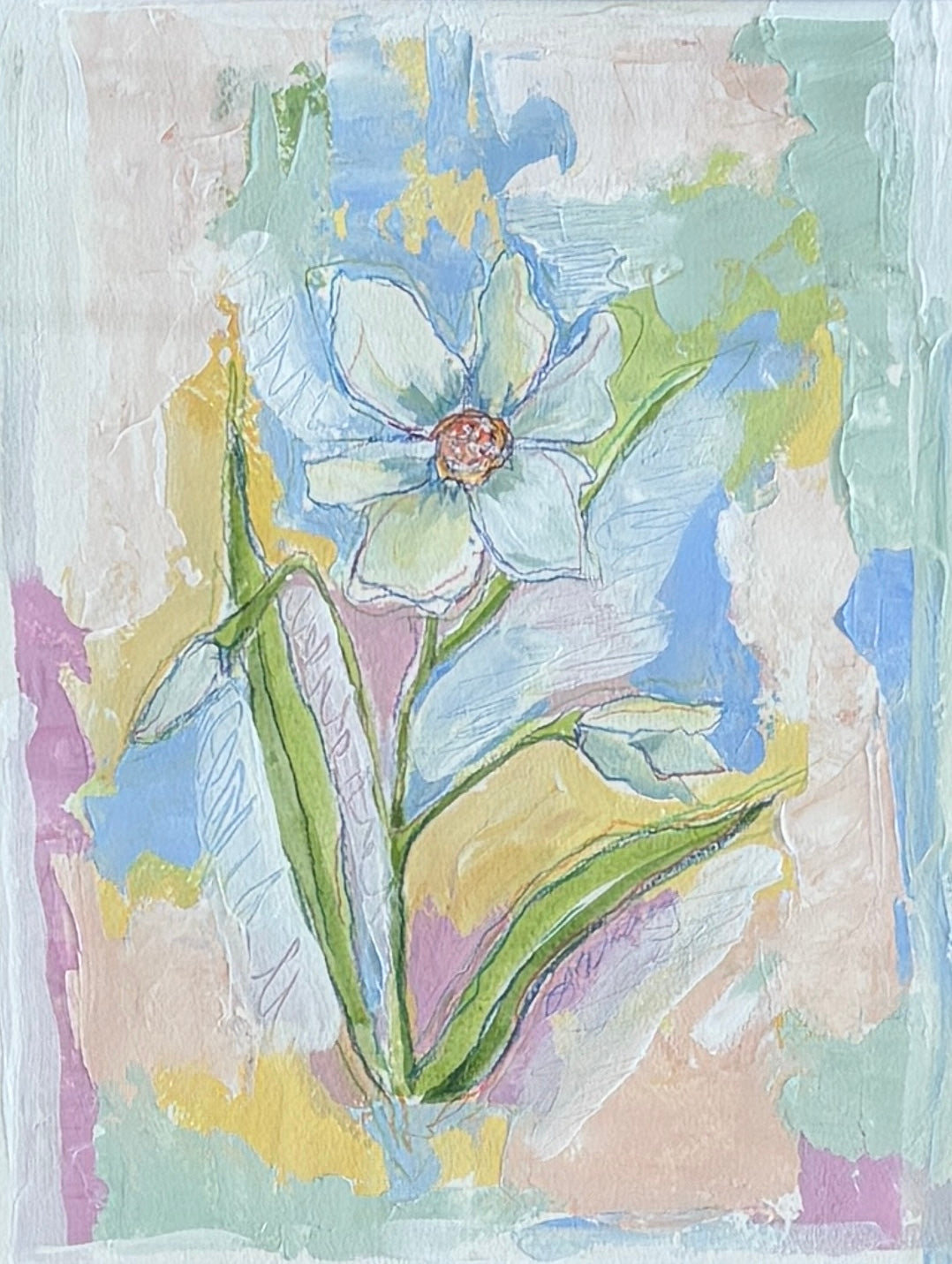 Narcissus