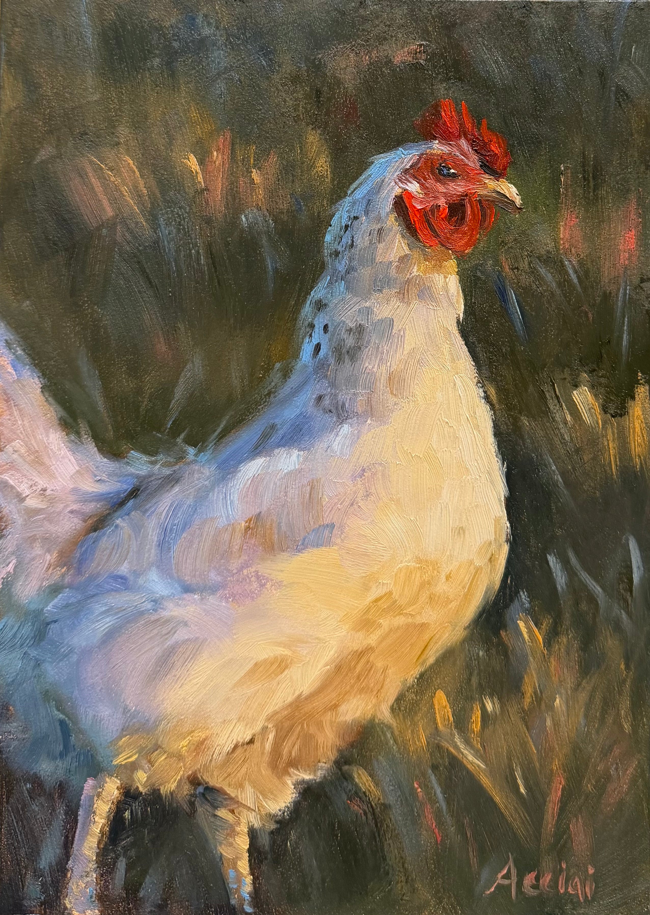 Proudly Plumed