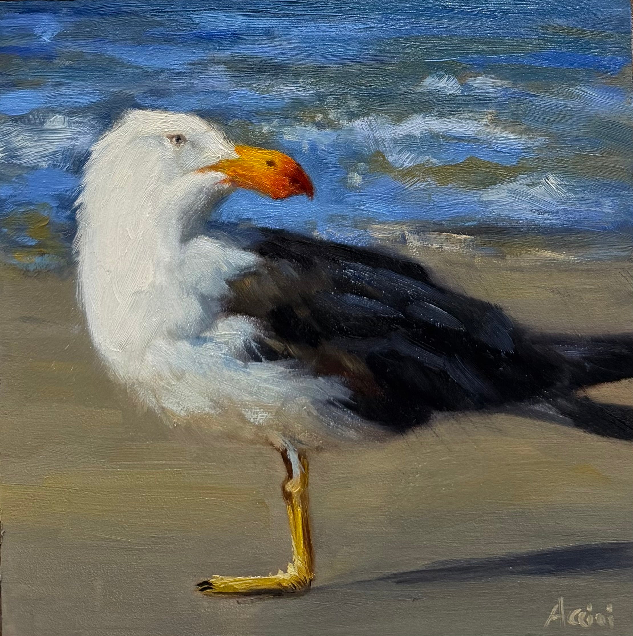 Sea Watch