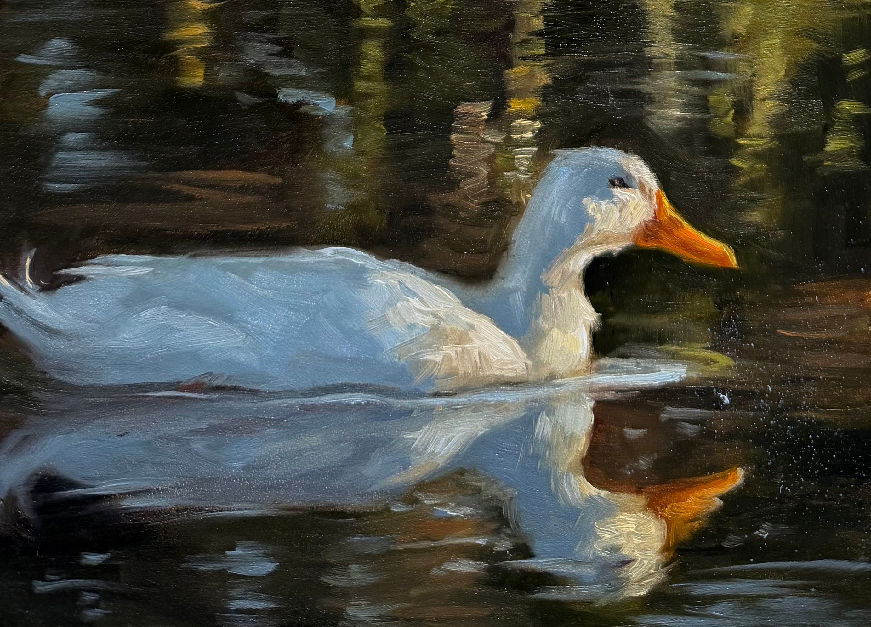 Still Waters