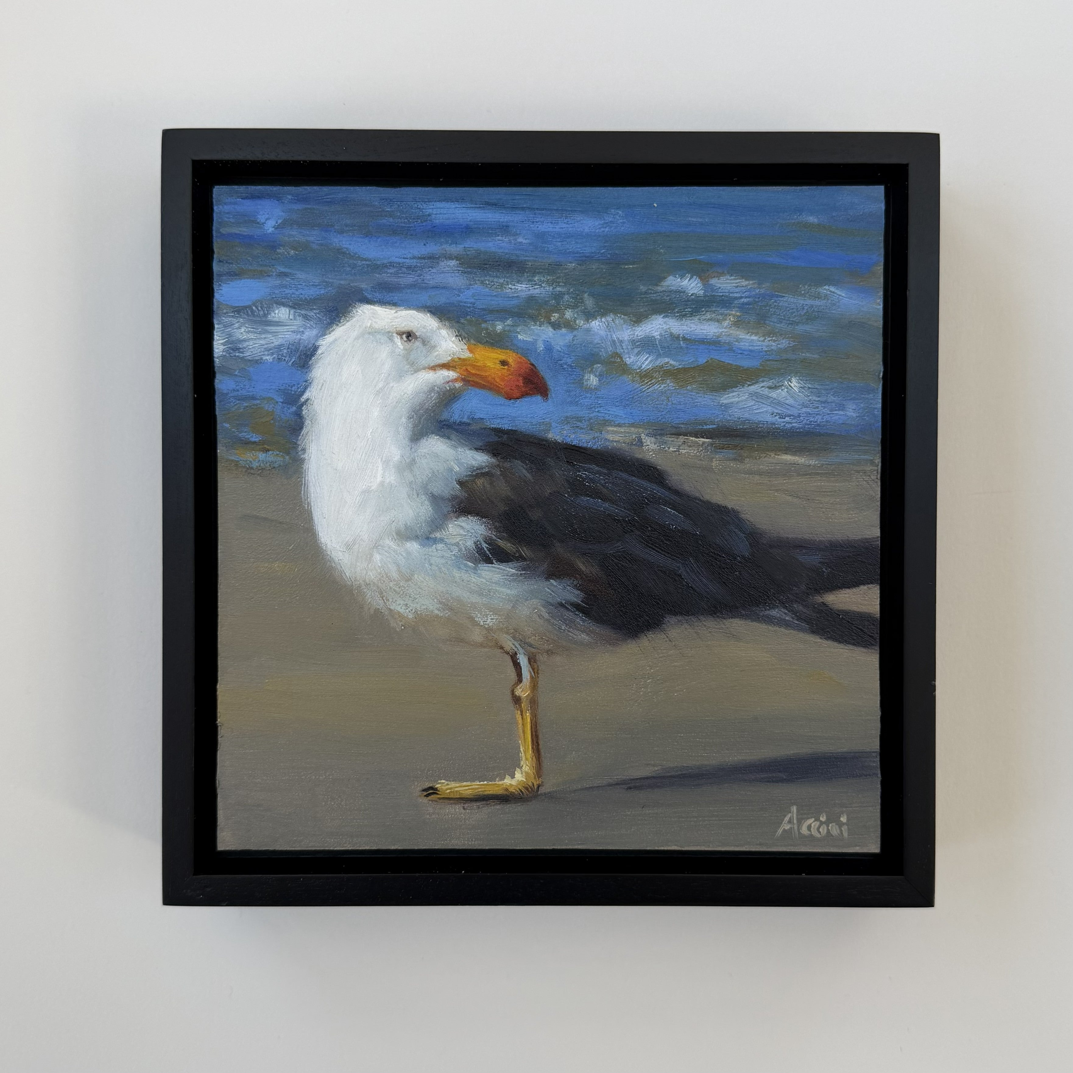 Sea Watch
