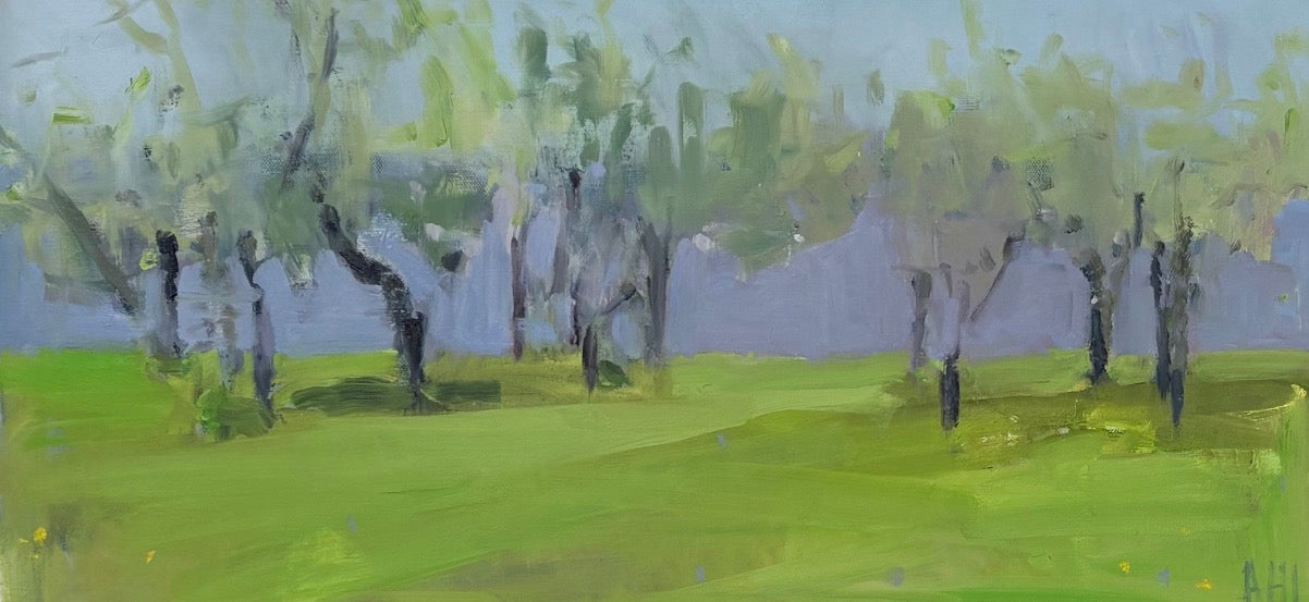 Apple Trees in Spring