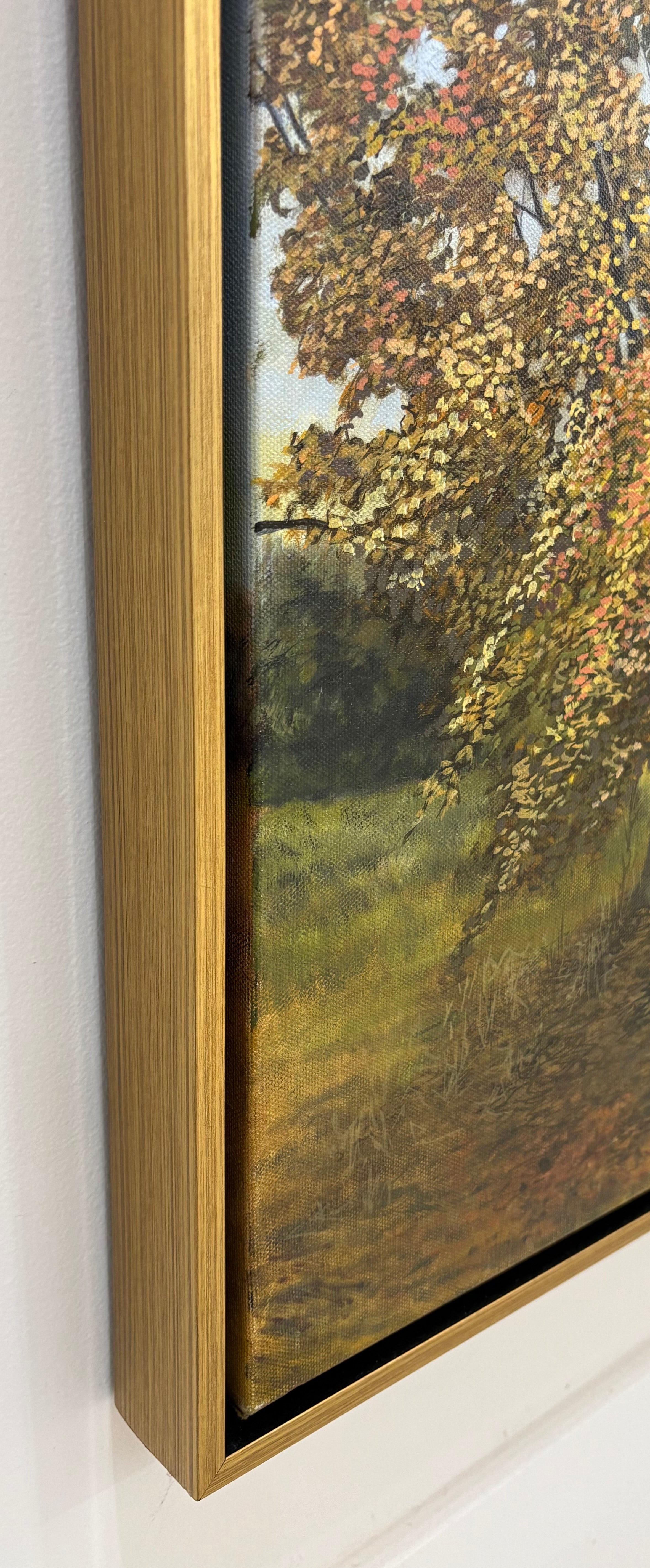 Fall Colors