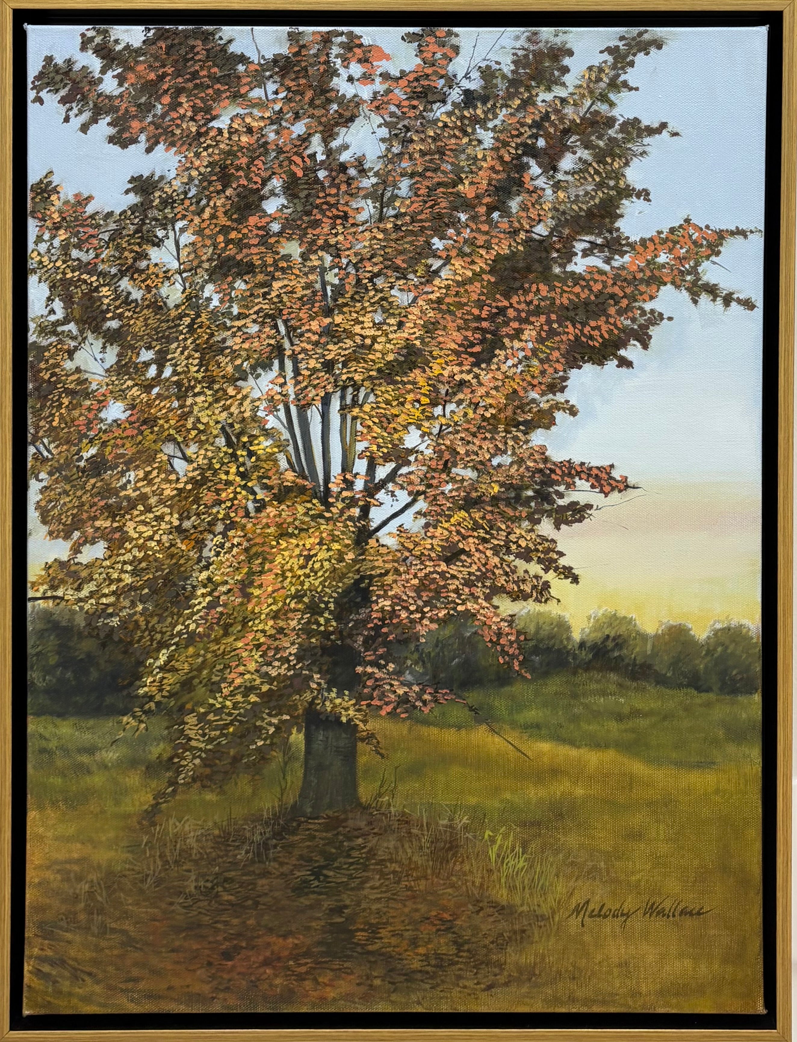 Fall Colors