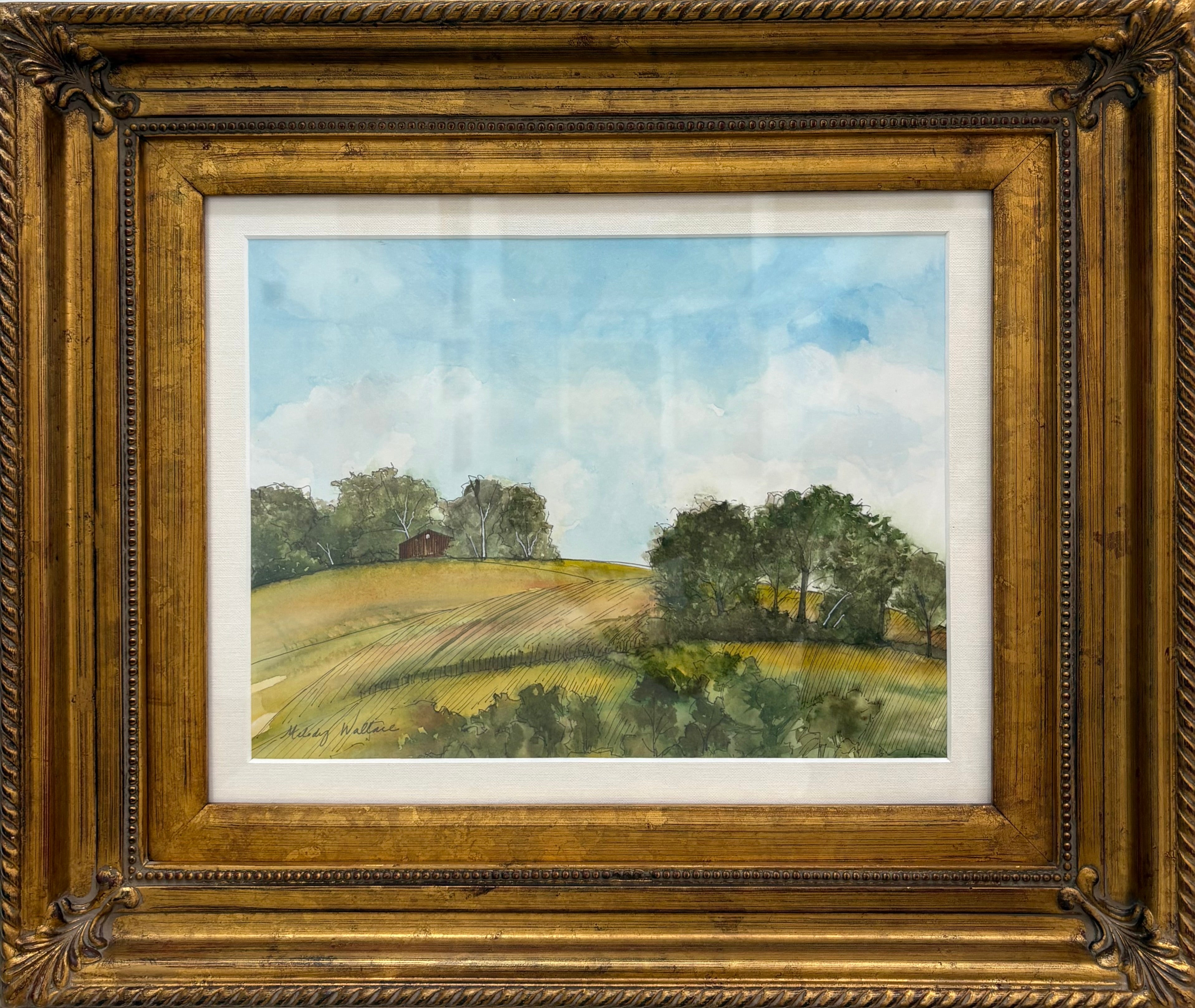 Field Next Door