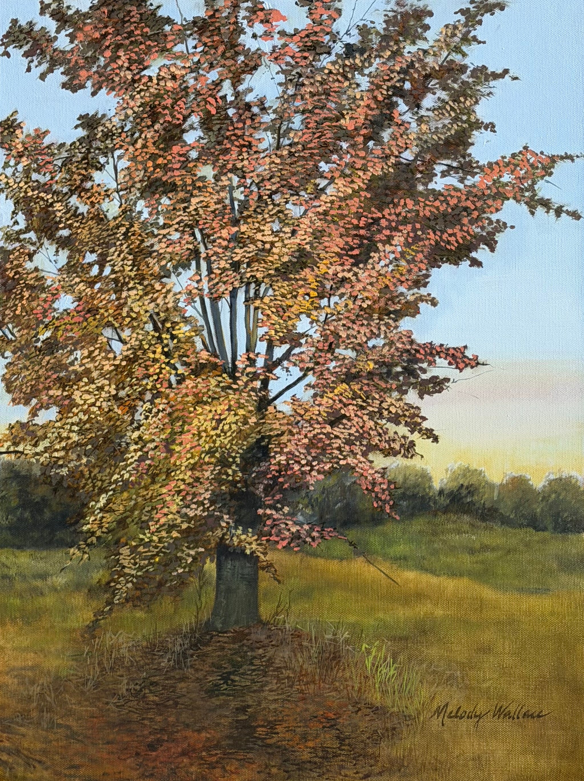 Fall Colors
