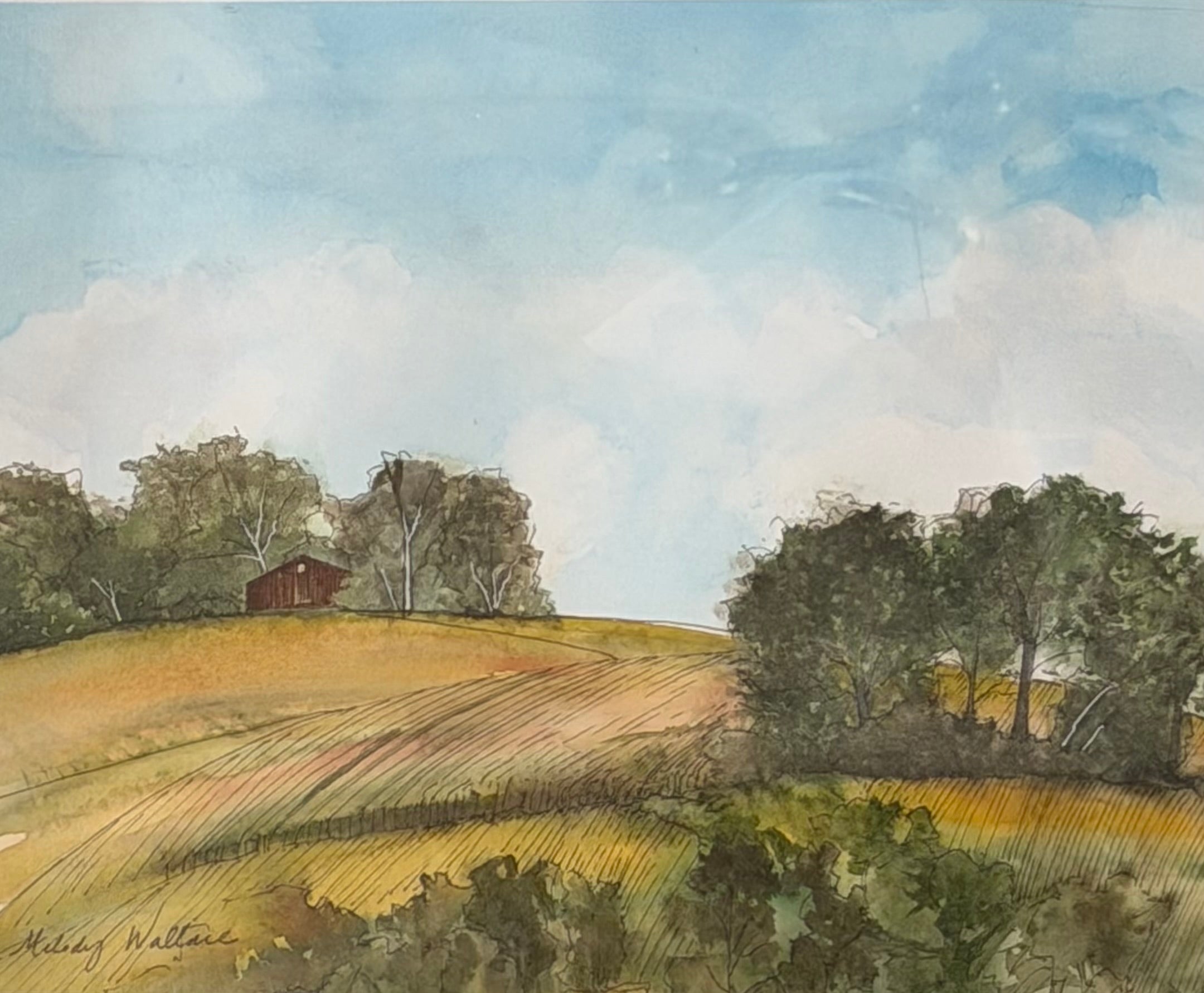 Field Next Door