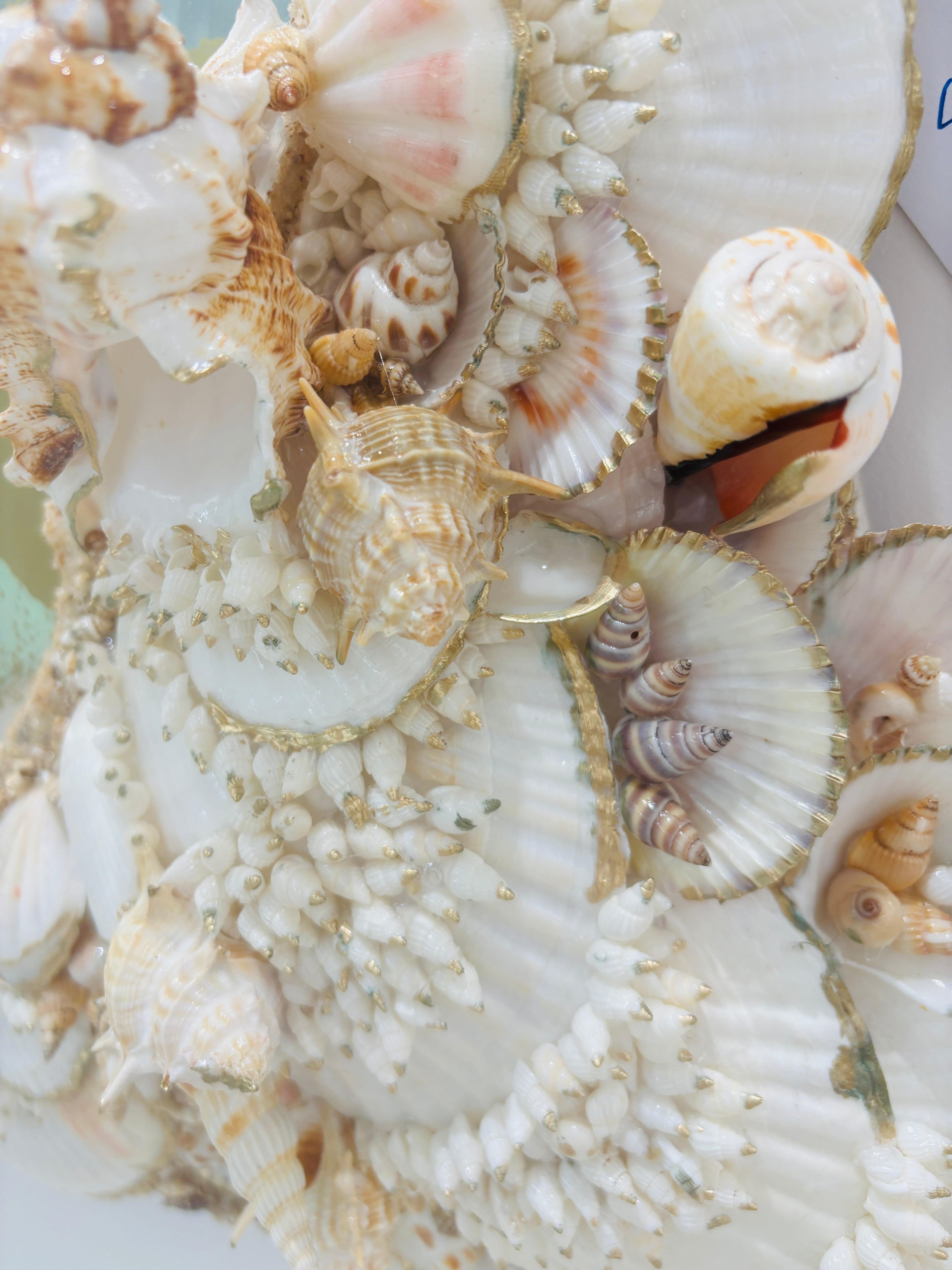 Shell Mosaic Mirror