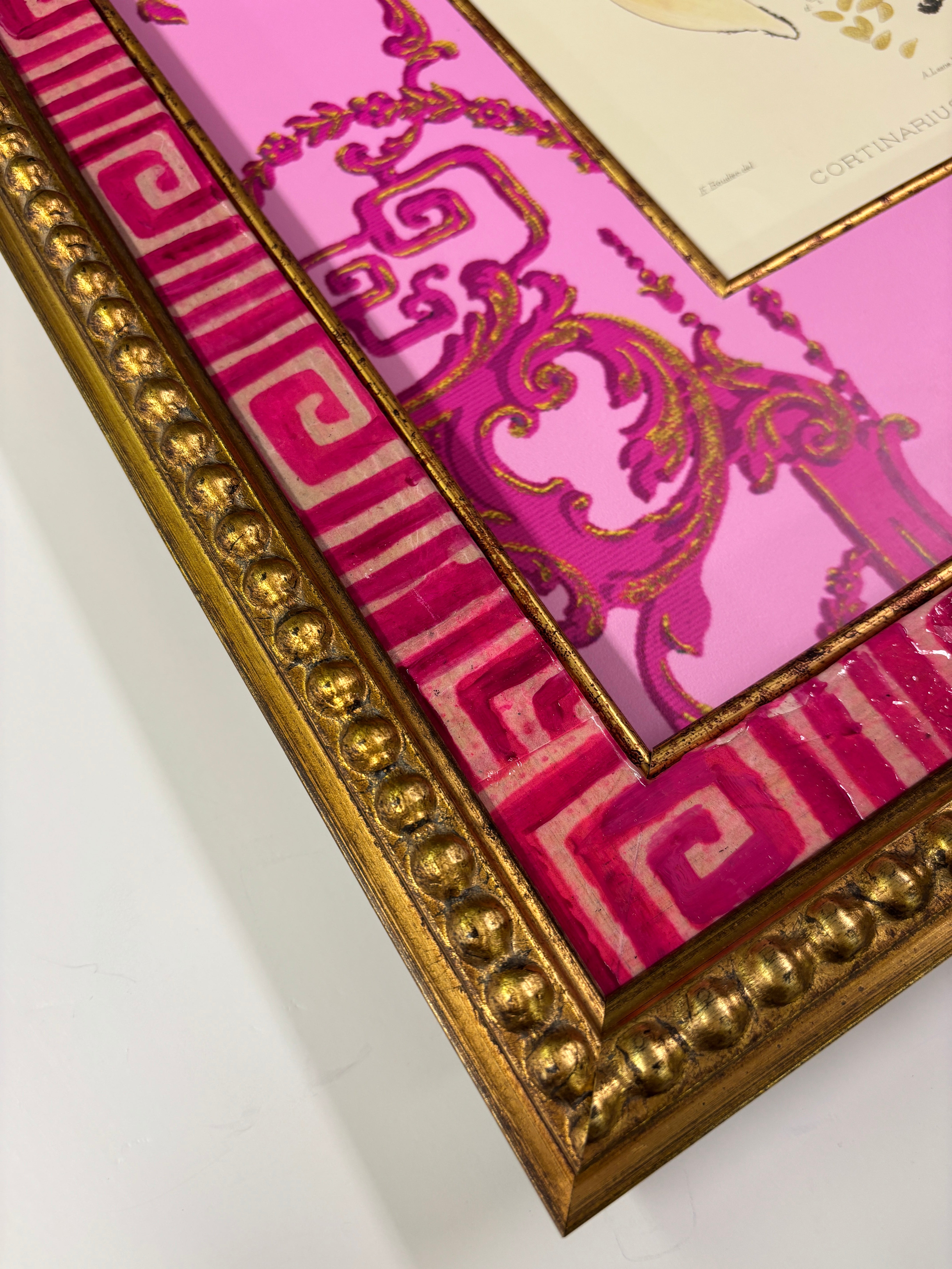 Vintage Mushroom Rare Book Page II