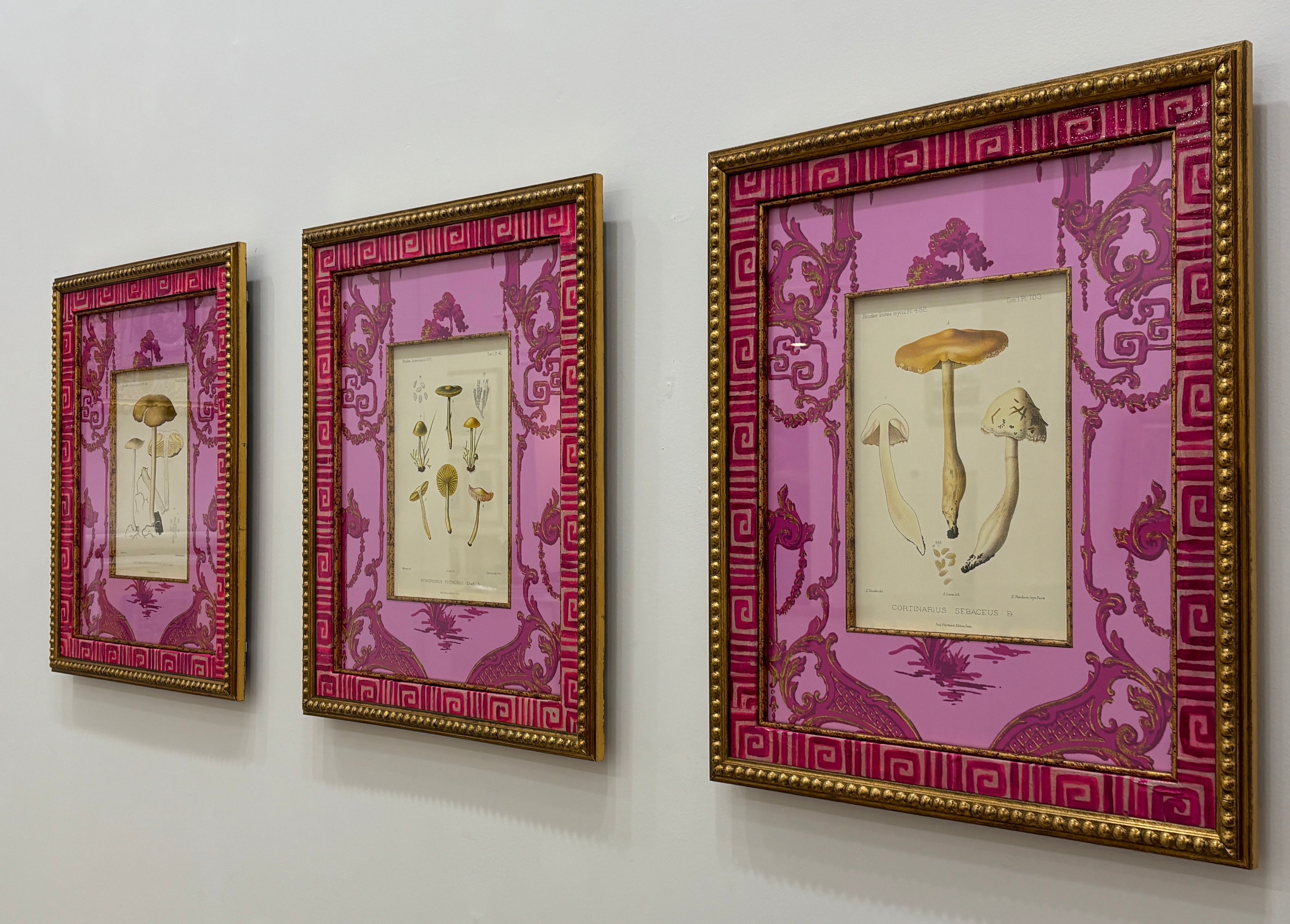 Vintage Mushroom Rare Book Page II