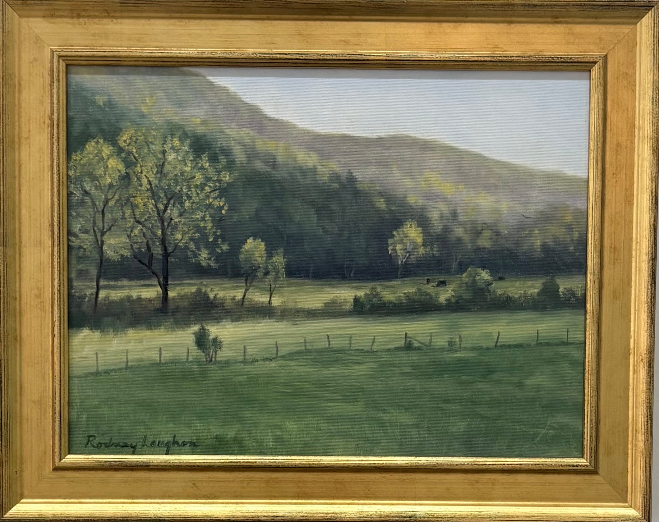 Afternoon Light