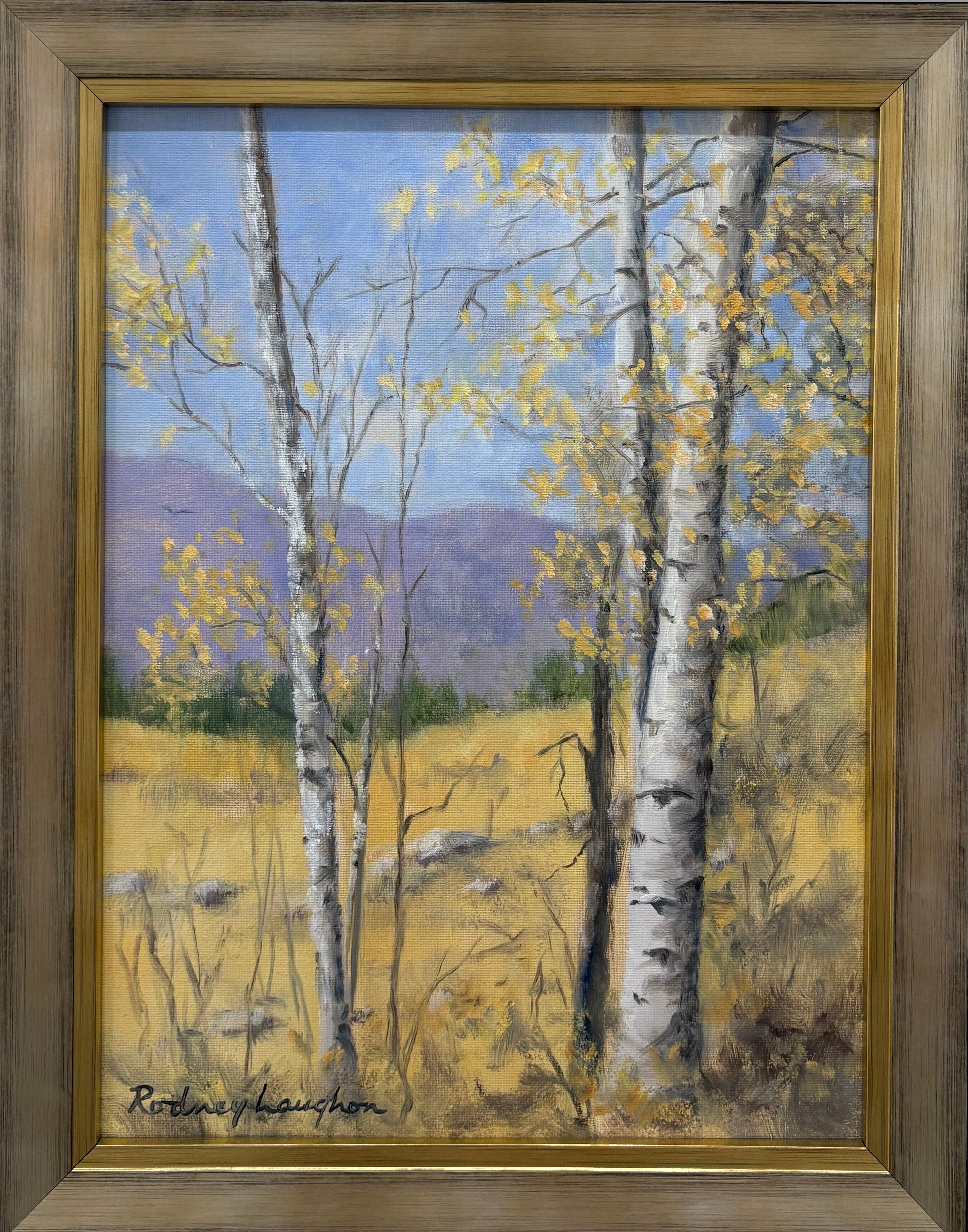 Autumn Aspens