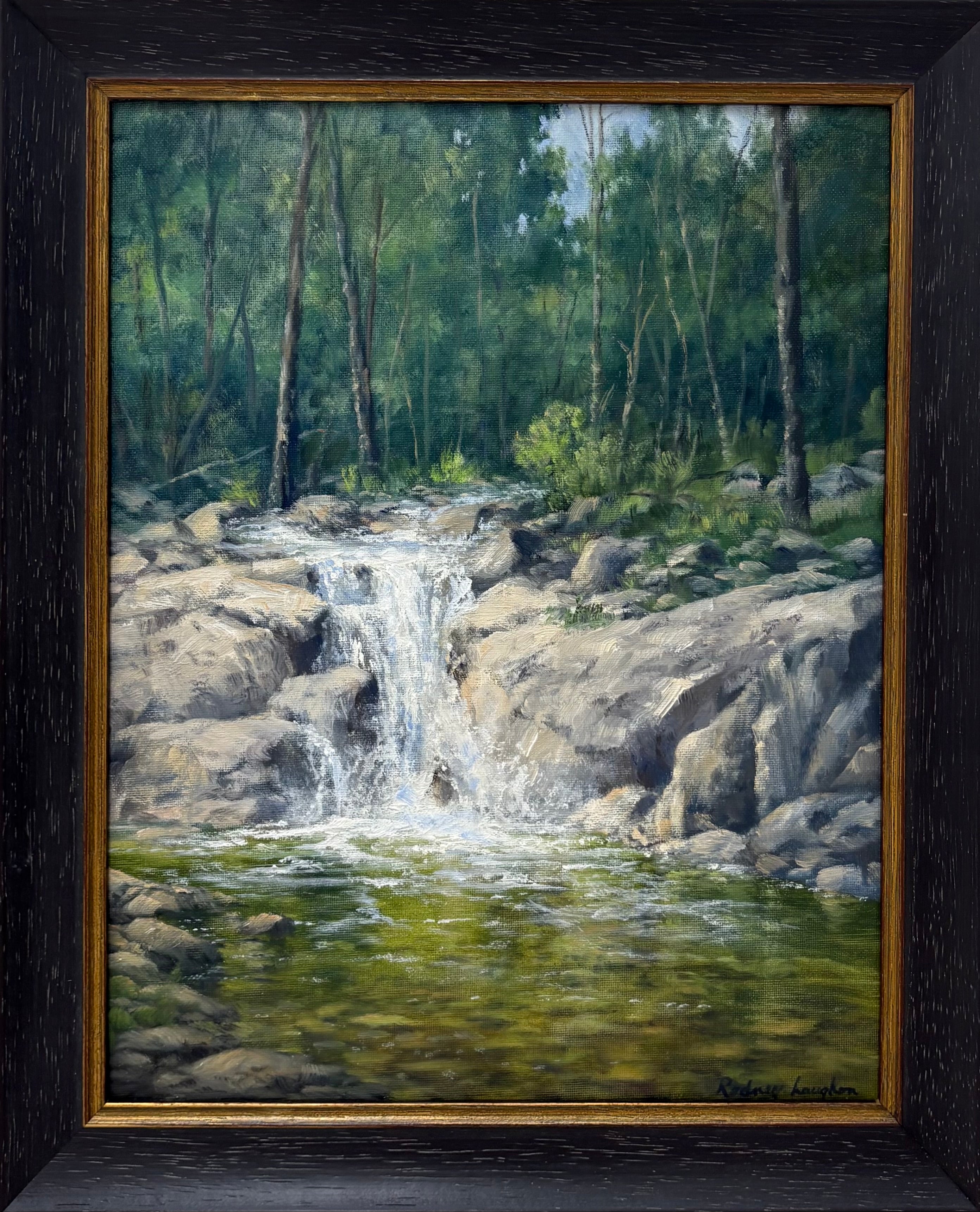 The Swimming Hole