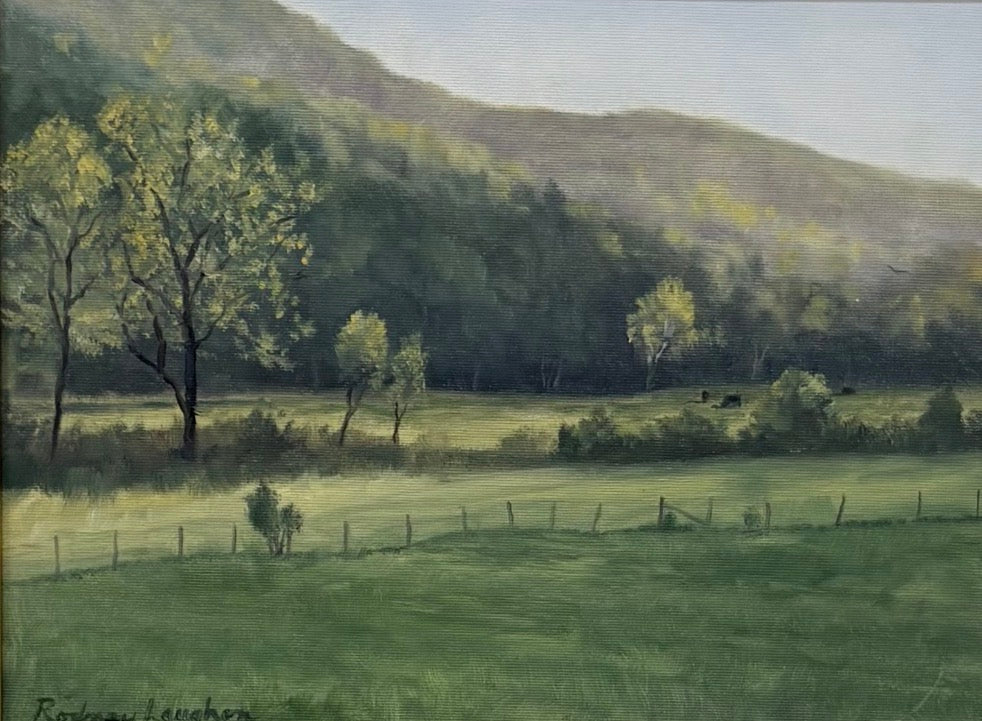 Afternoon Light