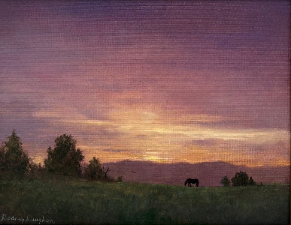 Evening Light Show