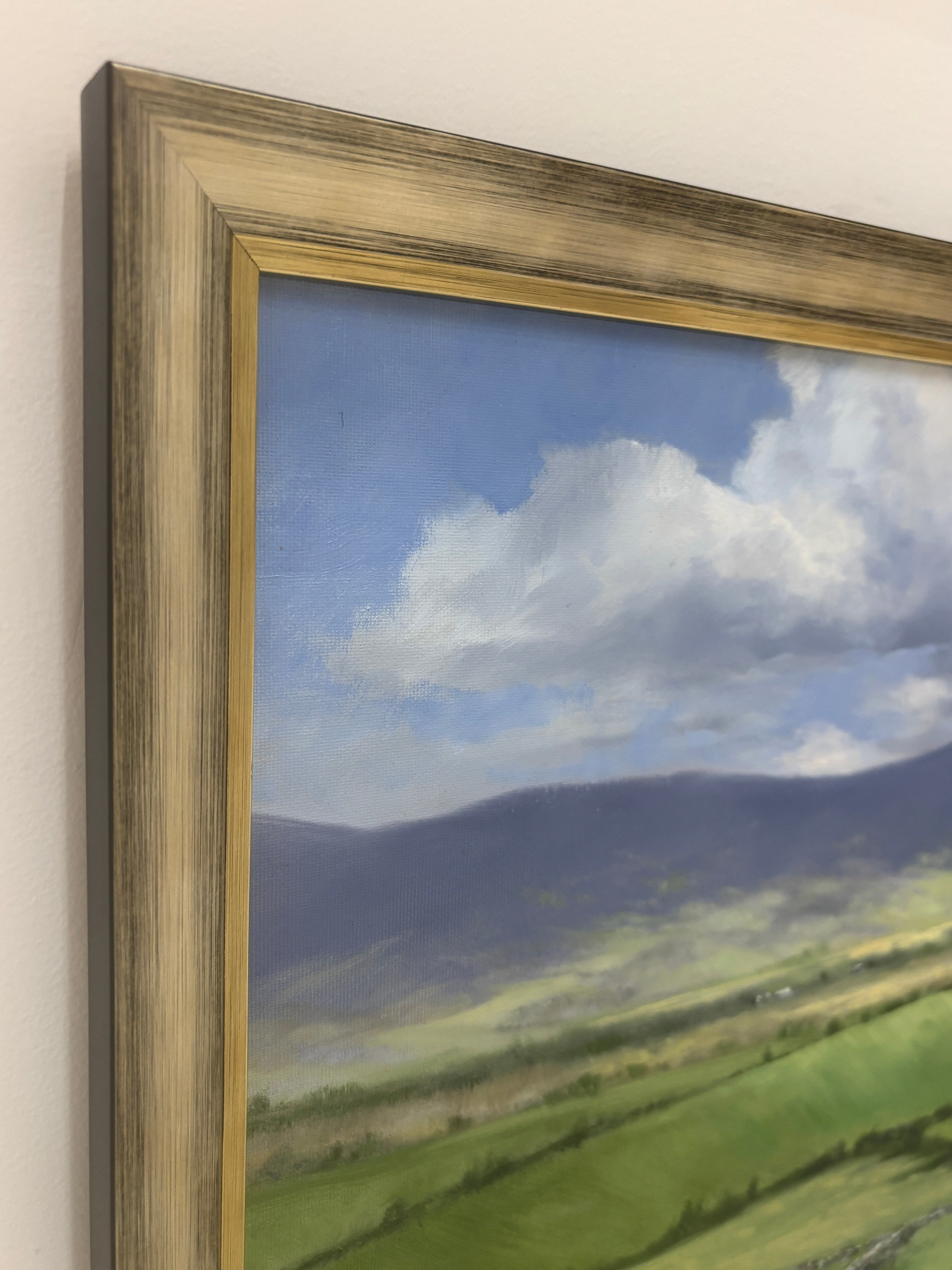 Green Fields of Ireland