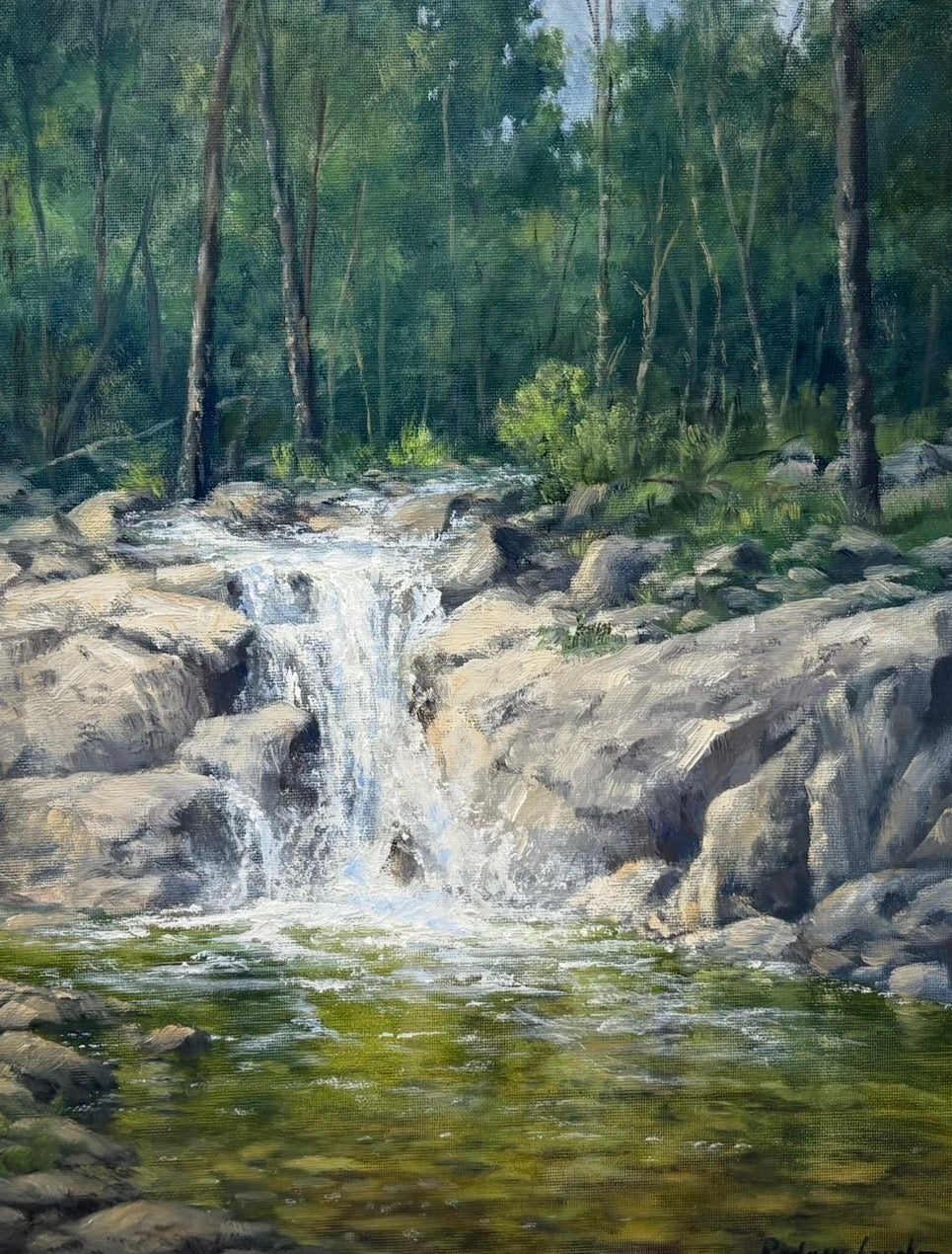 The Swimming Hole