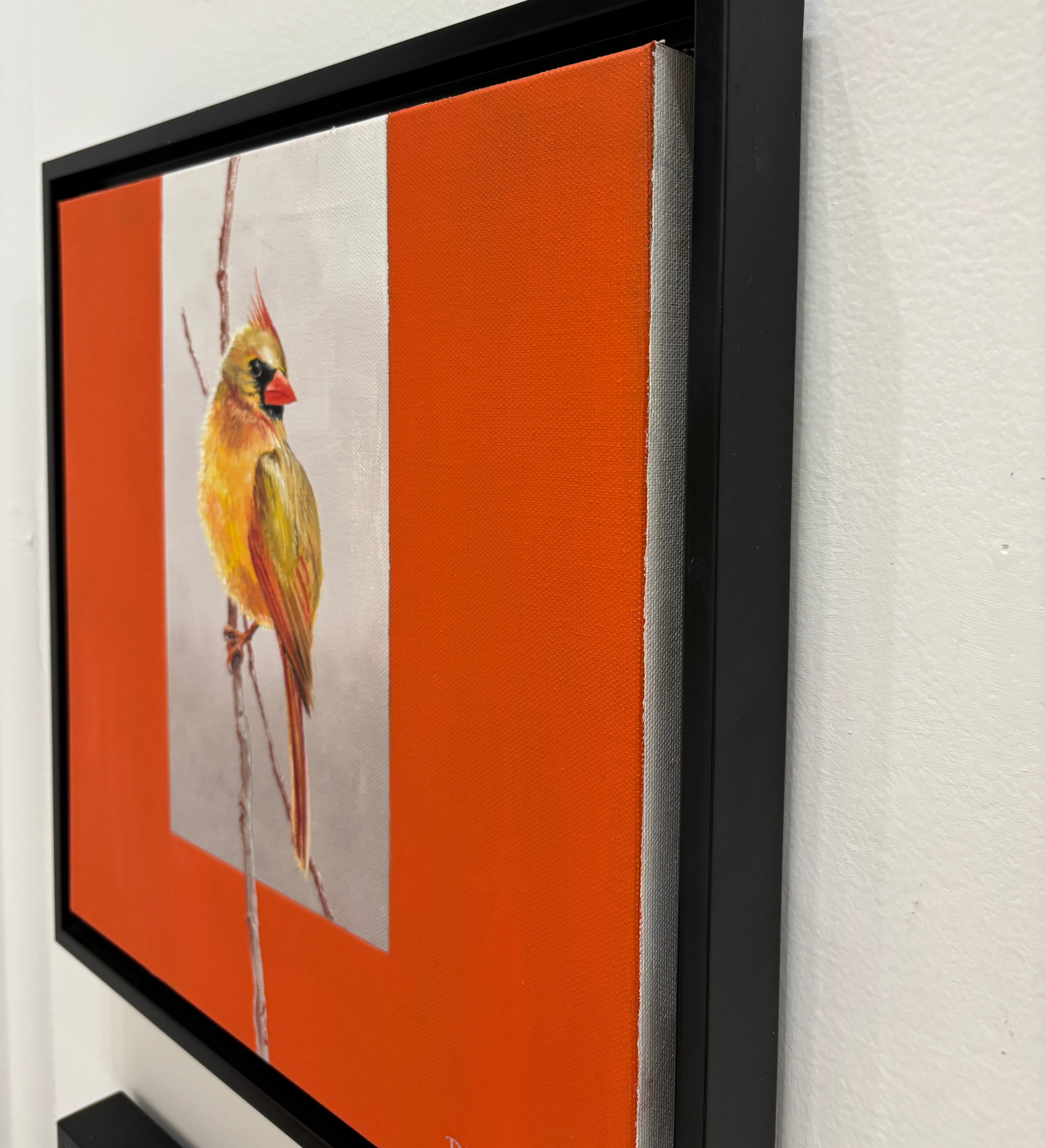 Searching for Mr. Wright