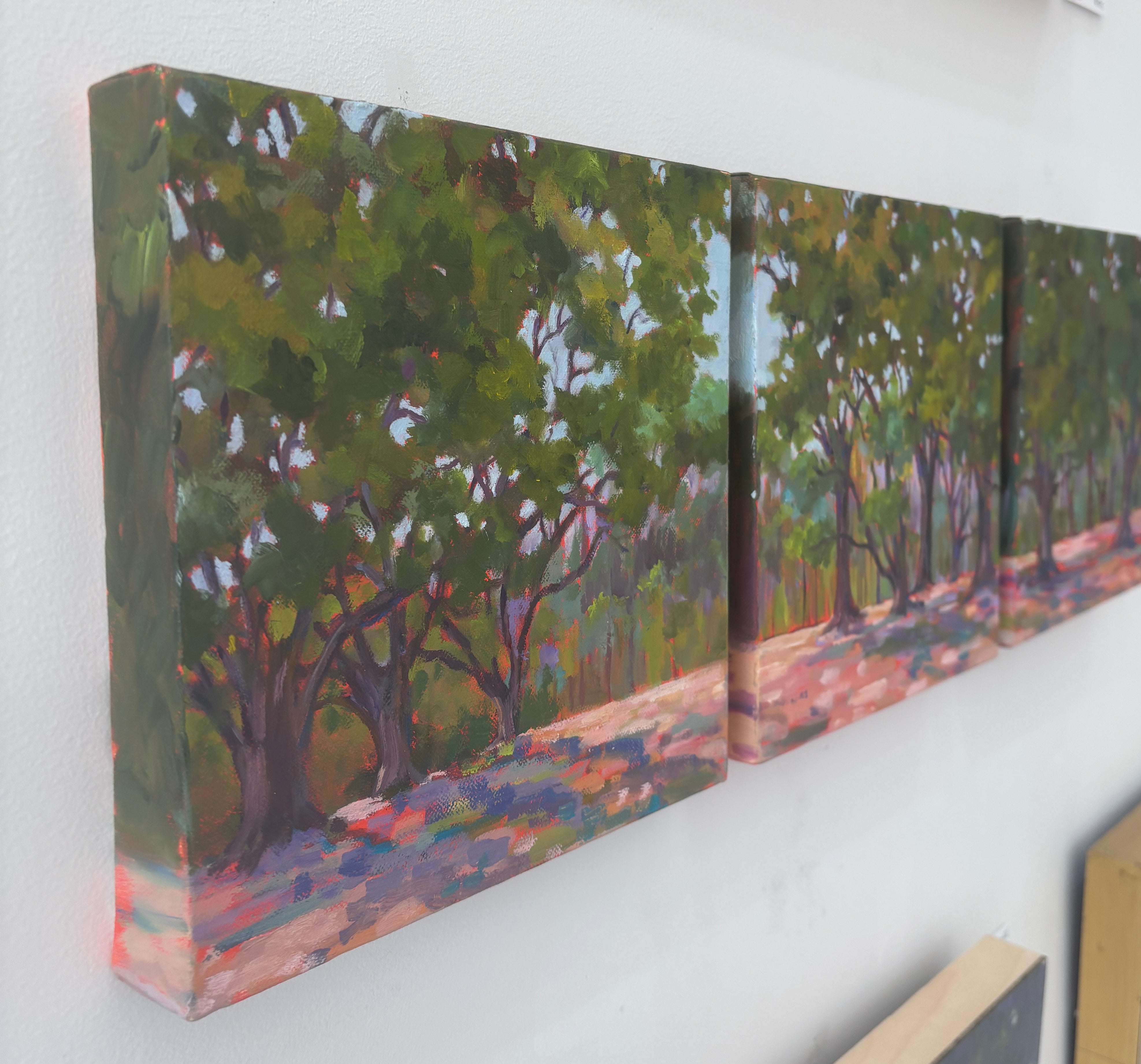 Brookgreen Live Oaks