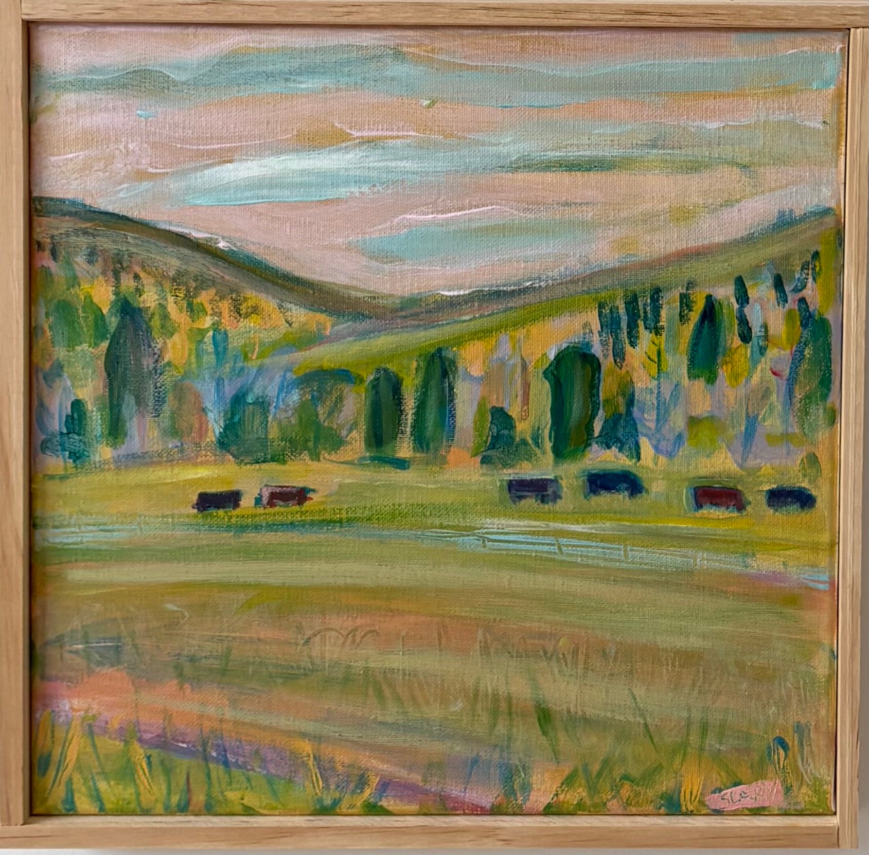Mountain Pasture