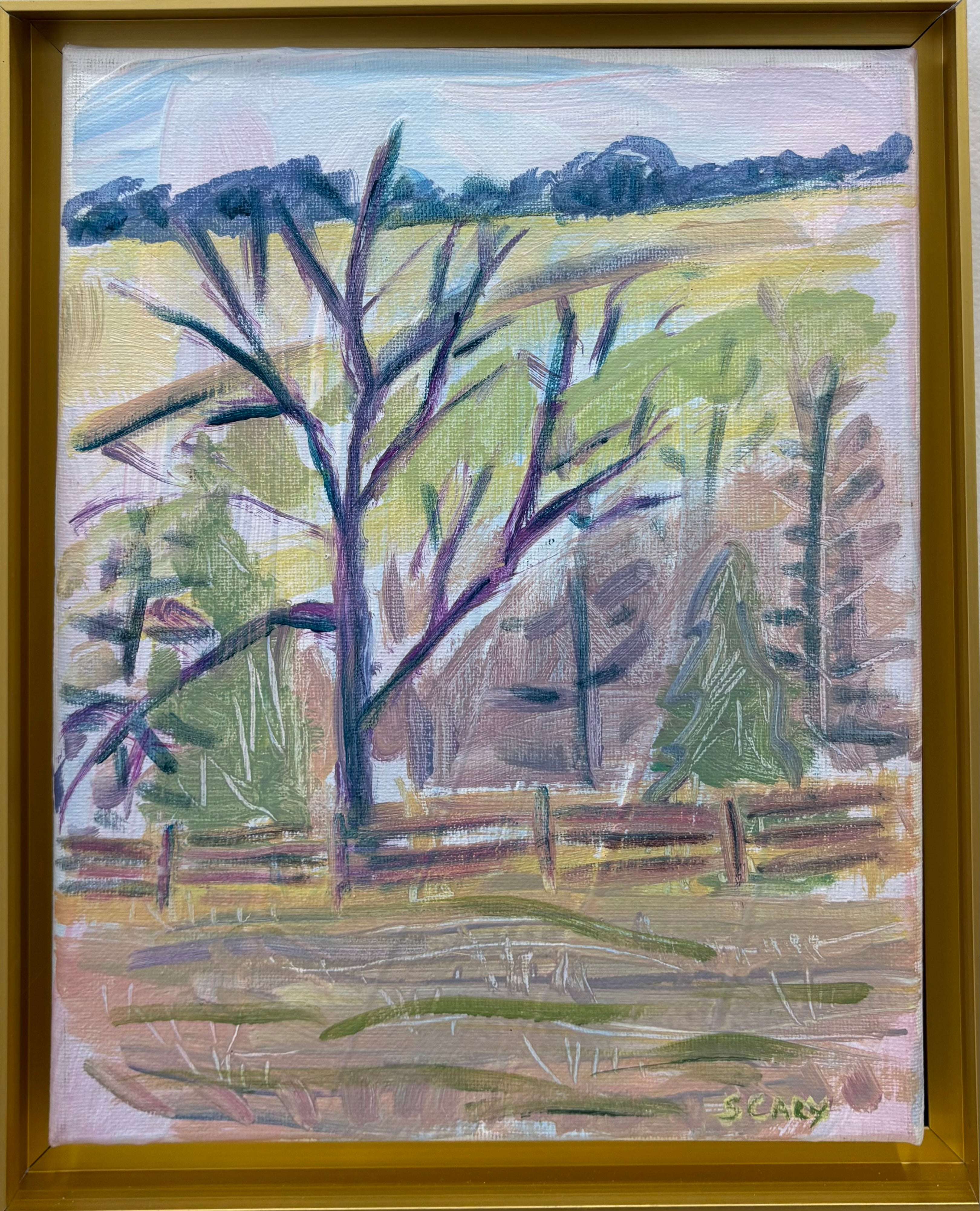 Spring Study from Porch