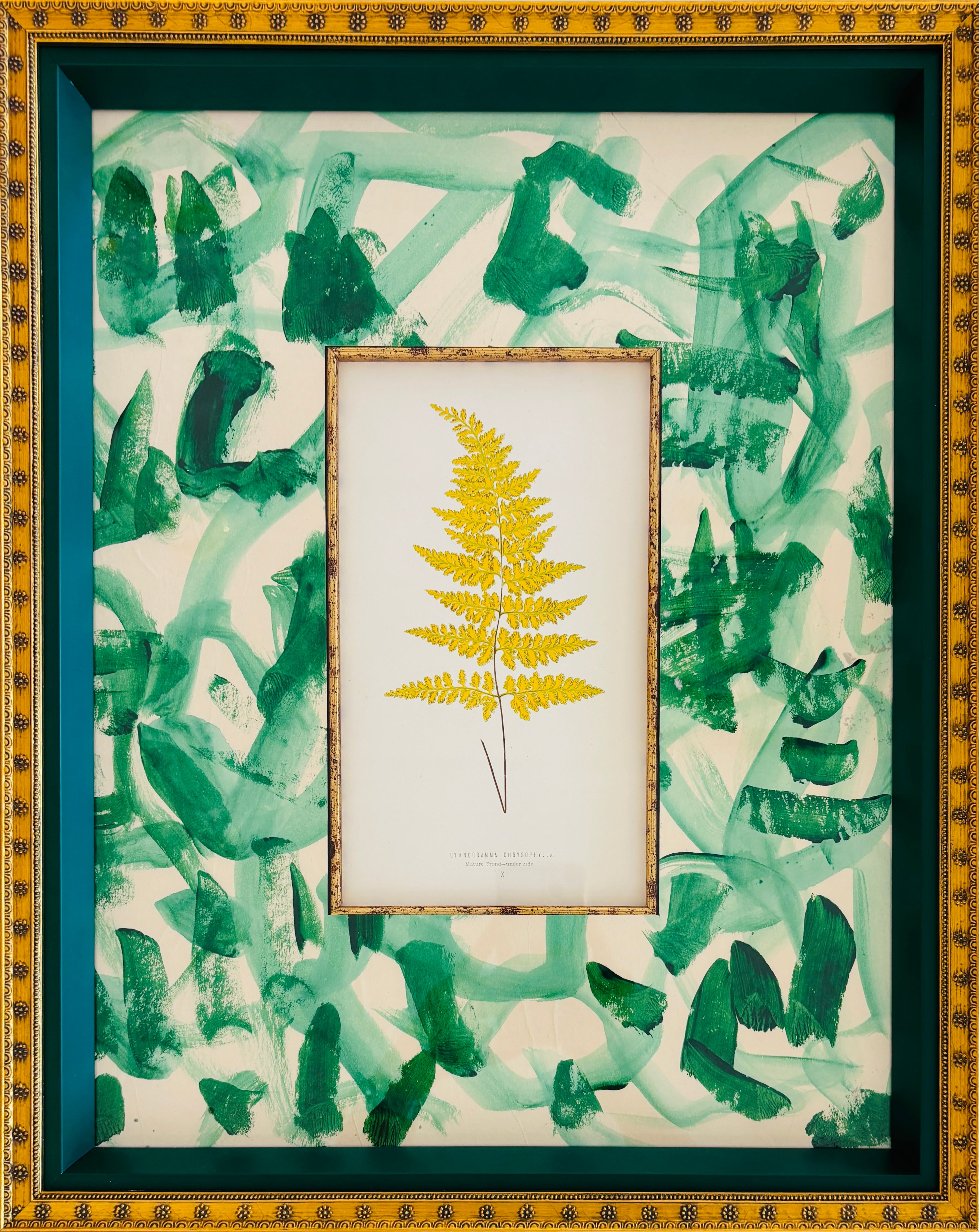French, Rare Book Page, Botanical Yellow Fern II